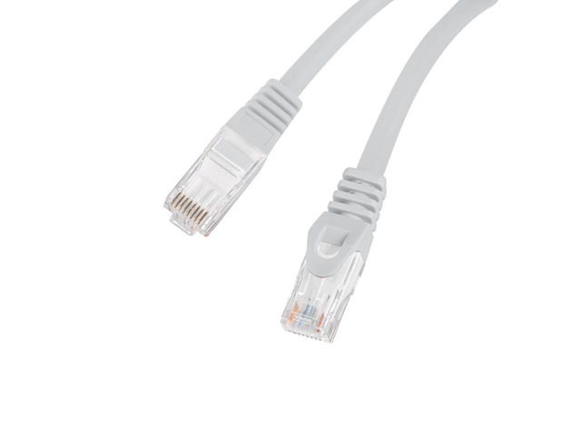 Dos cables Ethernet grises con conectores RJ45 sobre fondo blanco.