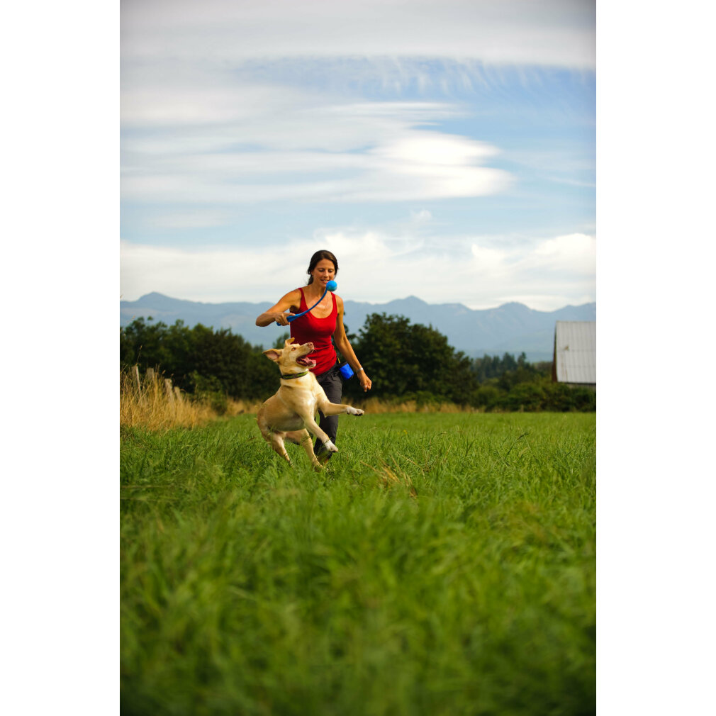 Eine Frau in einem roten Oberteil spielt in einem grünen Feld mit einem Hund, im Hintergrund sind Berge.