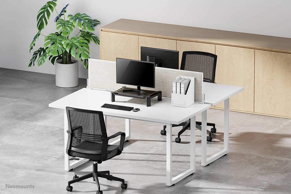 Modern white dual office desks with monitors, black chairs, a privacy partition, and a large potted plant.