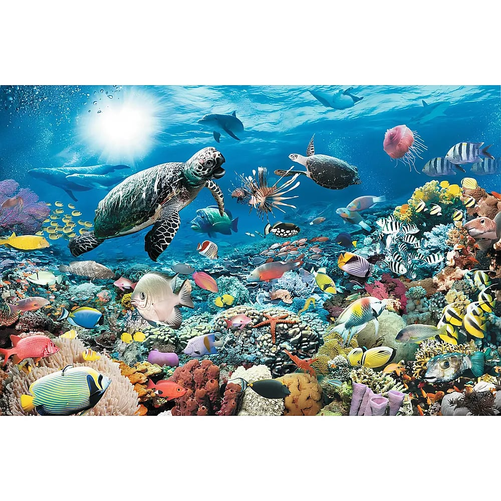 Unterwasserszene mit Schildkröten, Delfinen, bunten Fischen und Korallenriffen.
