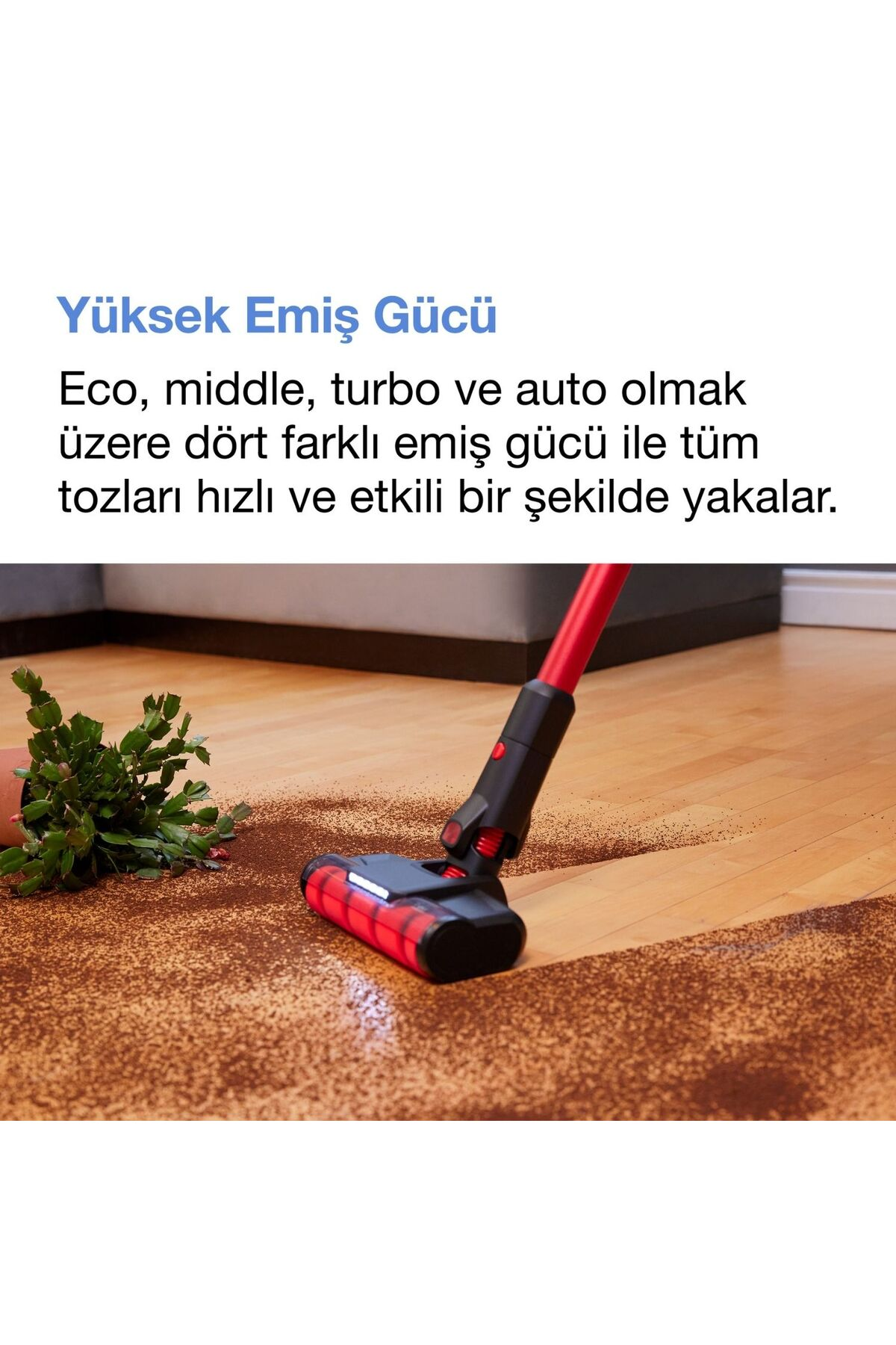 Kırmızı bir dikey süpürge, ahşap zemindeki kahve tozunu bir bitkinin yanında temizliyor.