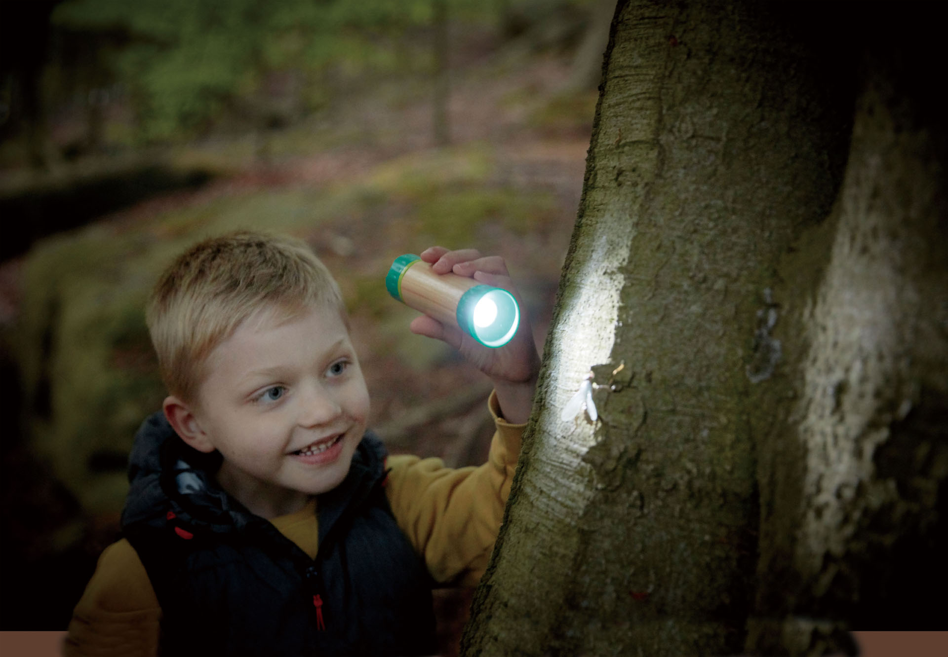 Ein kleiner Junge leuchtet neugierig mit einer Taschenlampe auf einen Baumstamm im Wald.