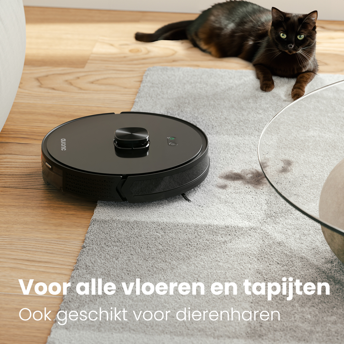 A black robotic vacuum cleaner on a grey rug next to a cat and wooden floor.