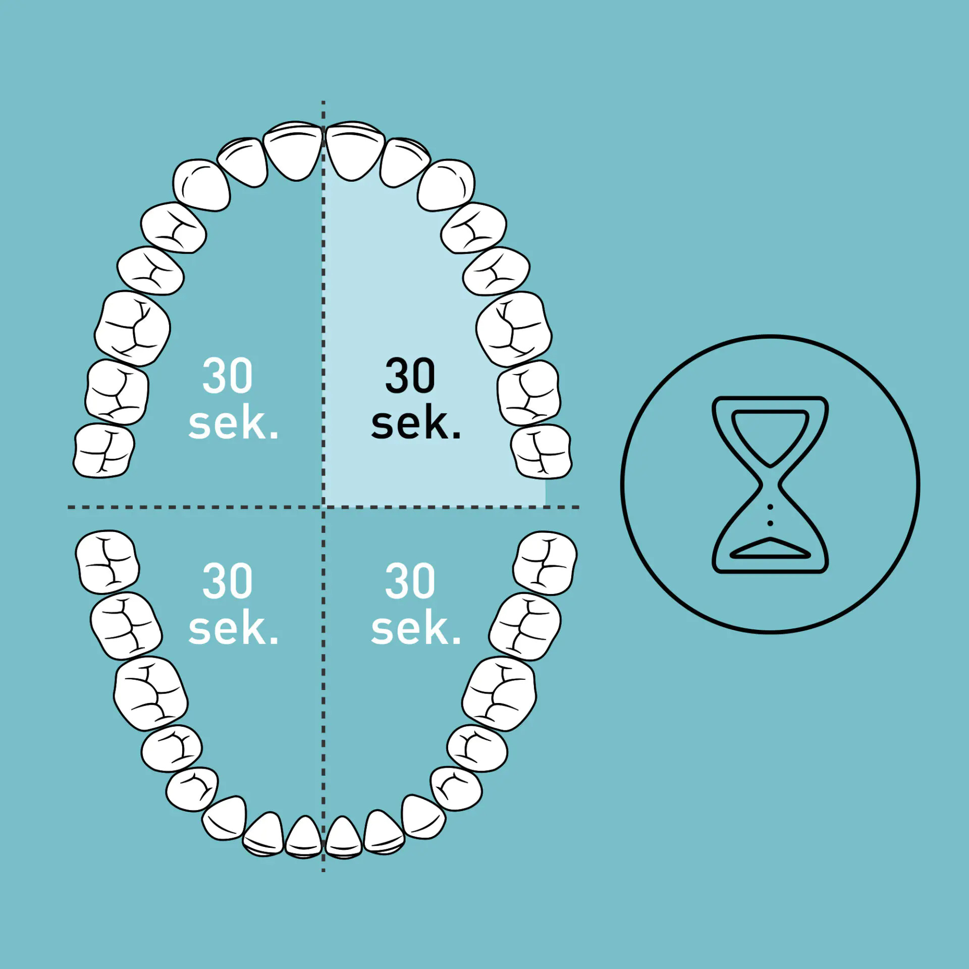 Diagram przedstawia zęby w czterech kwadrantach, z których każdy jest oznaczony 30 sekundami i klepsydrą.