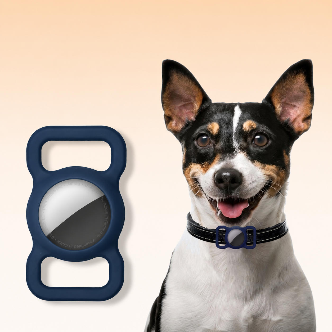 Ein schwarz-weißer Hund trägt ein Halsband mit einer dunkelblauen Silikonhalterung und einem AirTag.