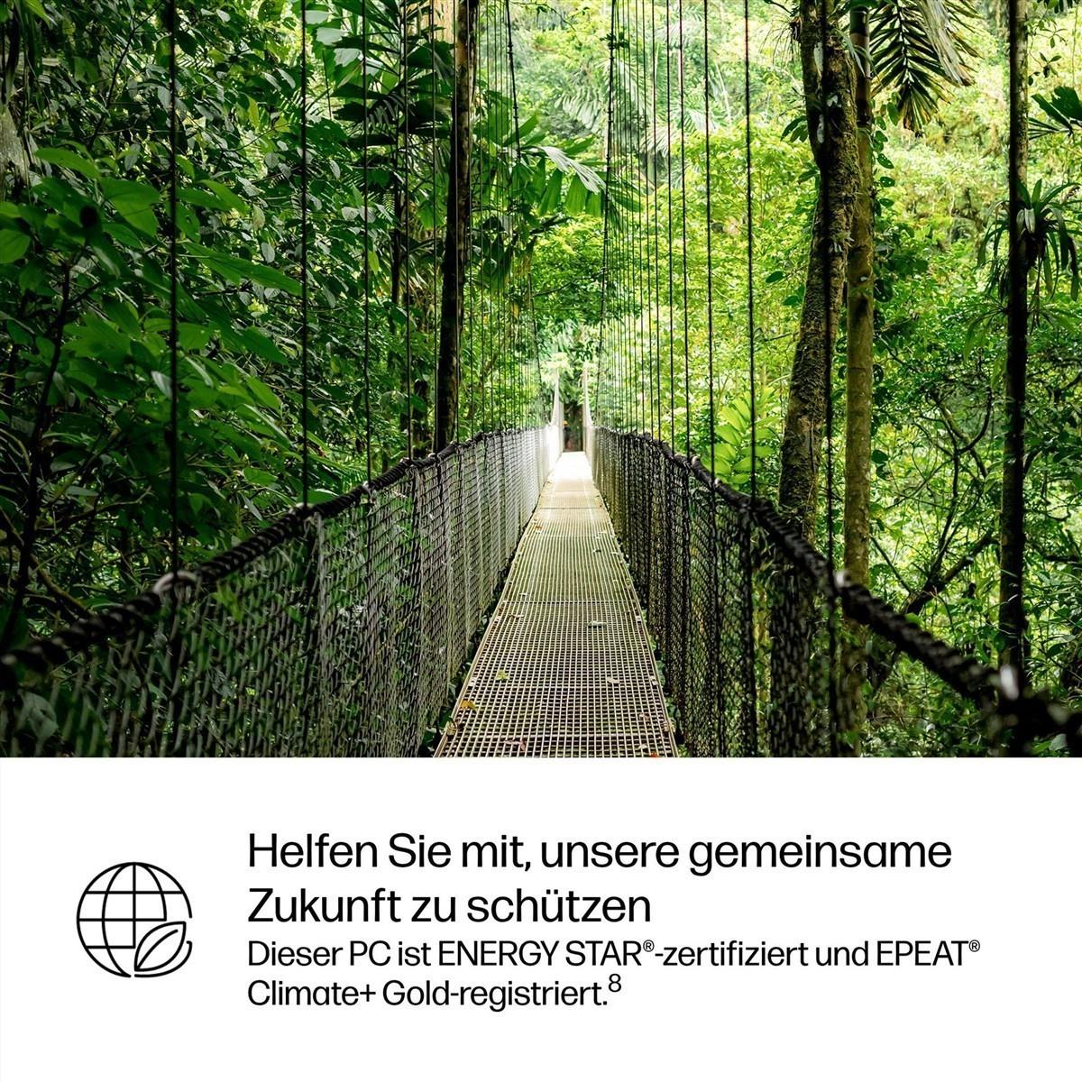 Eine lange Hängebrücke führt durch einen dichten, grünen Regenwald. Unten Text auf weißem Grund.