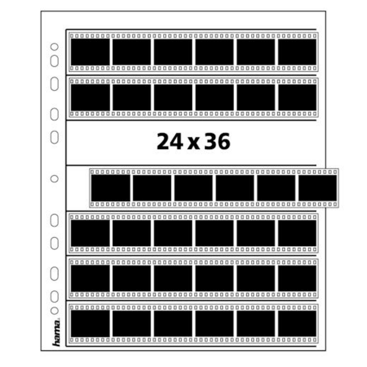 Filmnegativ-Hülle mit mehreren Reihen von schwarzen Filmstreifen und der Aufschrift 24 x 36.
