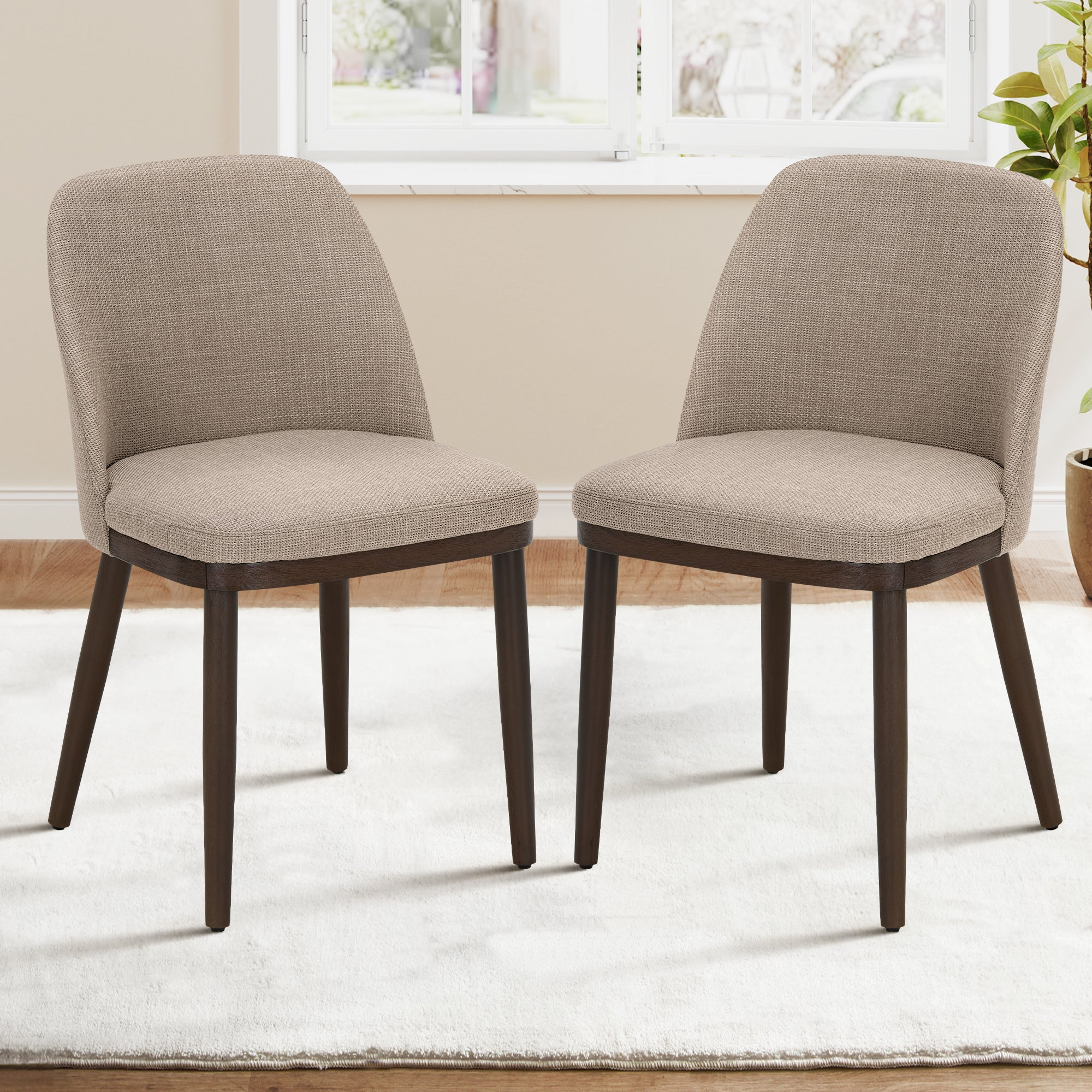 Due sedie da pranzo imbottite in beige con gambe in legno scuro su un tappeto bianco in una stanza luminosa.