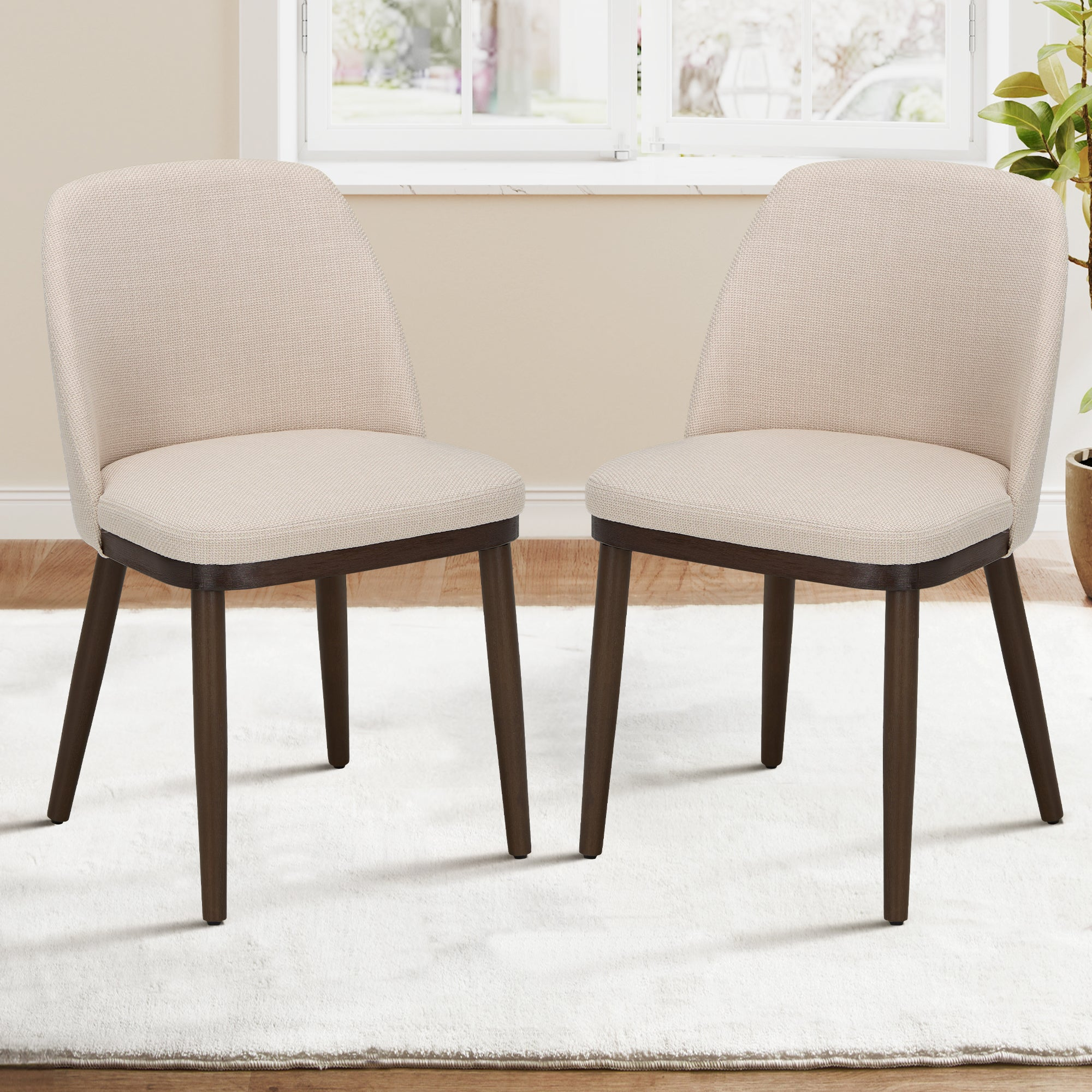 Due sedie da pranzo imbottite beige con gambe in legno scuro su un tappeto bianco.