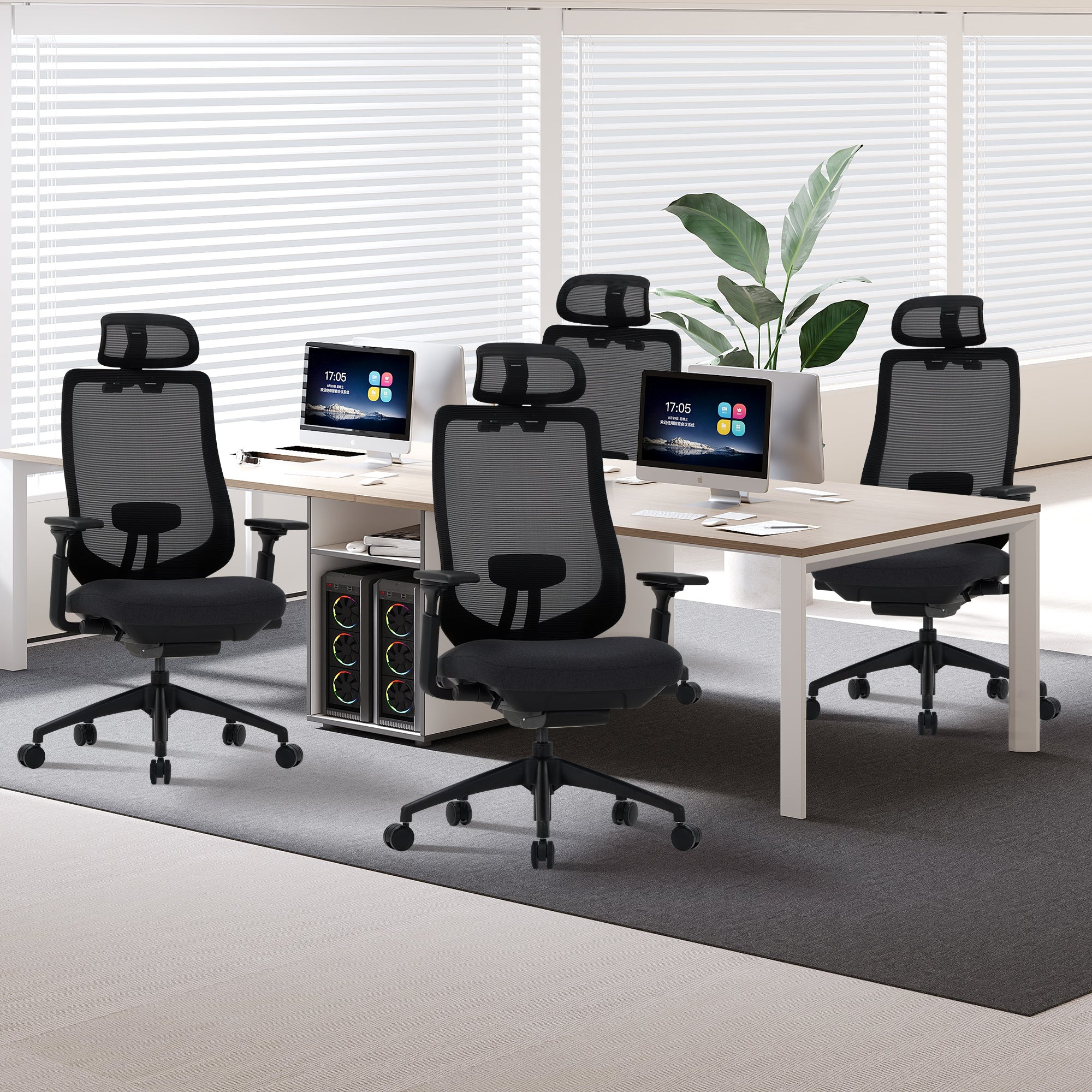 Moderne Buerouebung mit Holzschreibtisch, vier schwarzen Mesh-Stuehlen, Computern und einer Zimmerpflanze vor Jalousien.