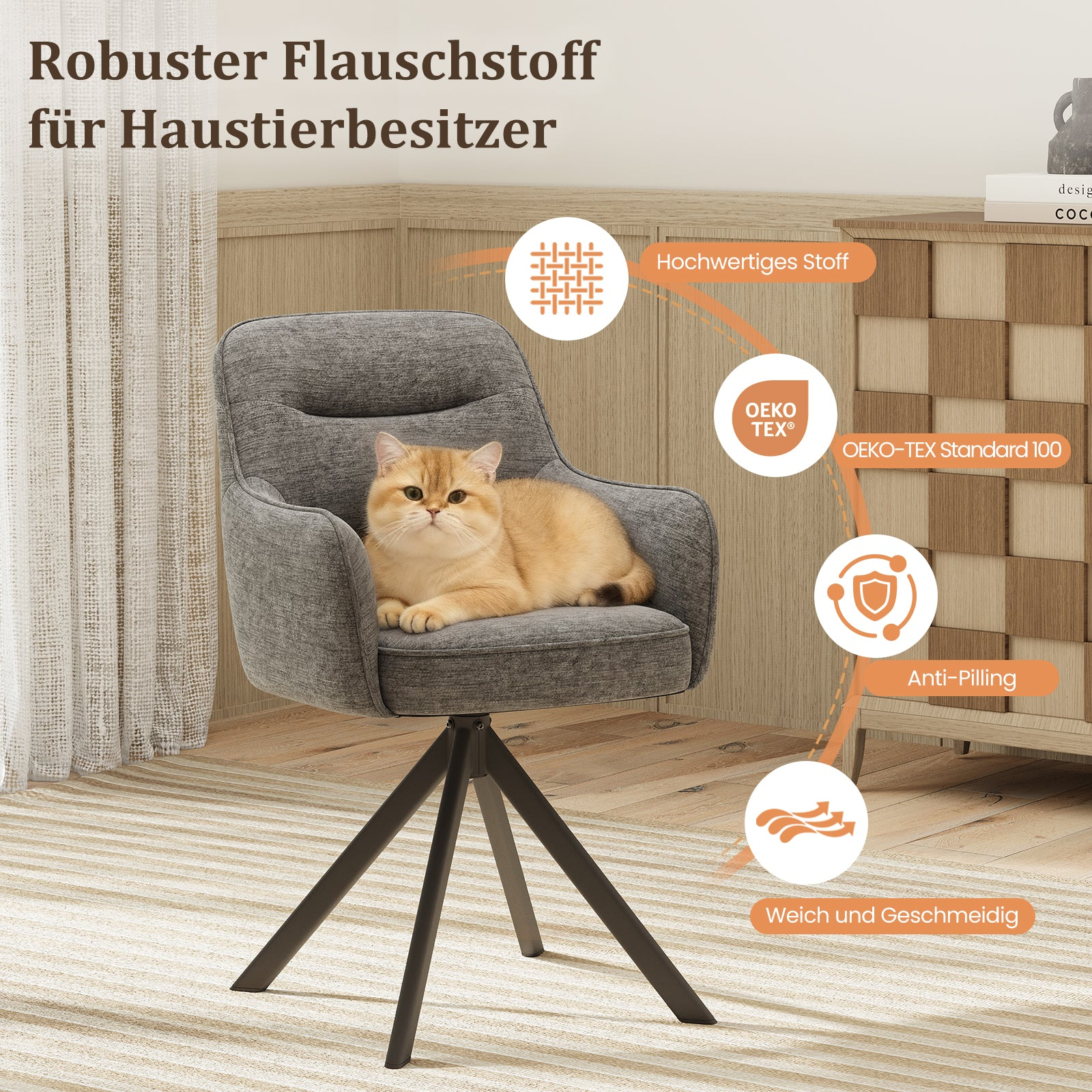 Un gatto dorato siede su una sedia grigia con icone informative.