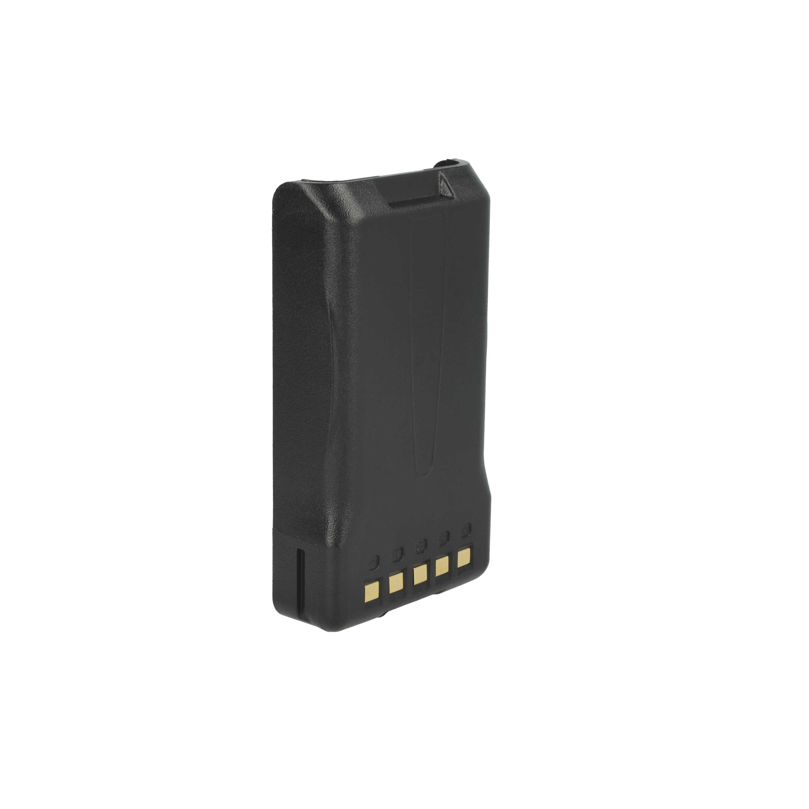 Eine schwarze rechteckige Elektronikbatterie mit fünf goldfarbenen Kontakten auf weißem Grund.