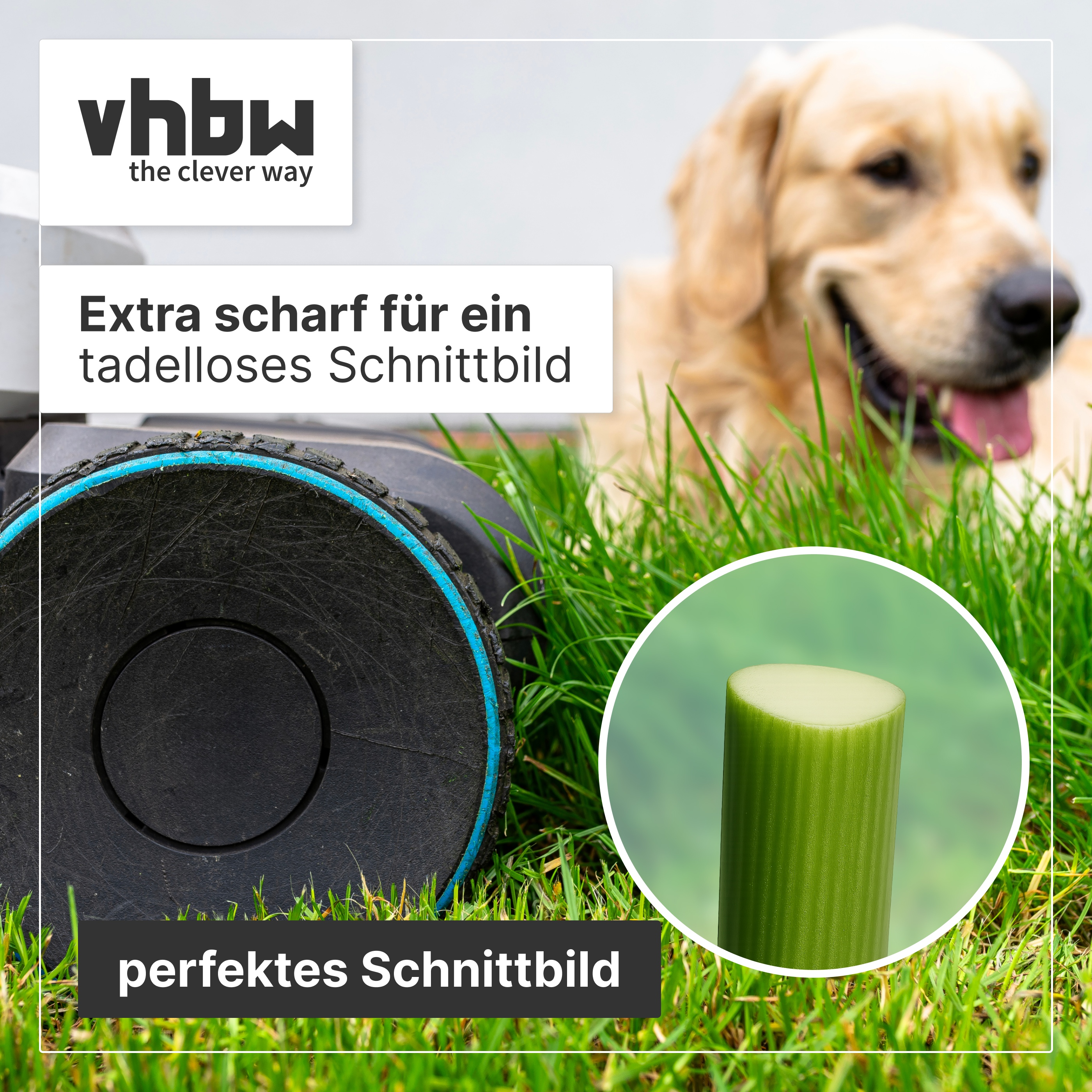 Ein Rasenmäherrad, grünes Gras und ein Hund im Hintergrund mit vhbw-Logo.