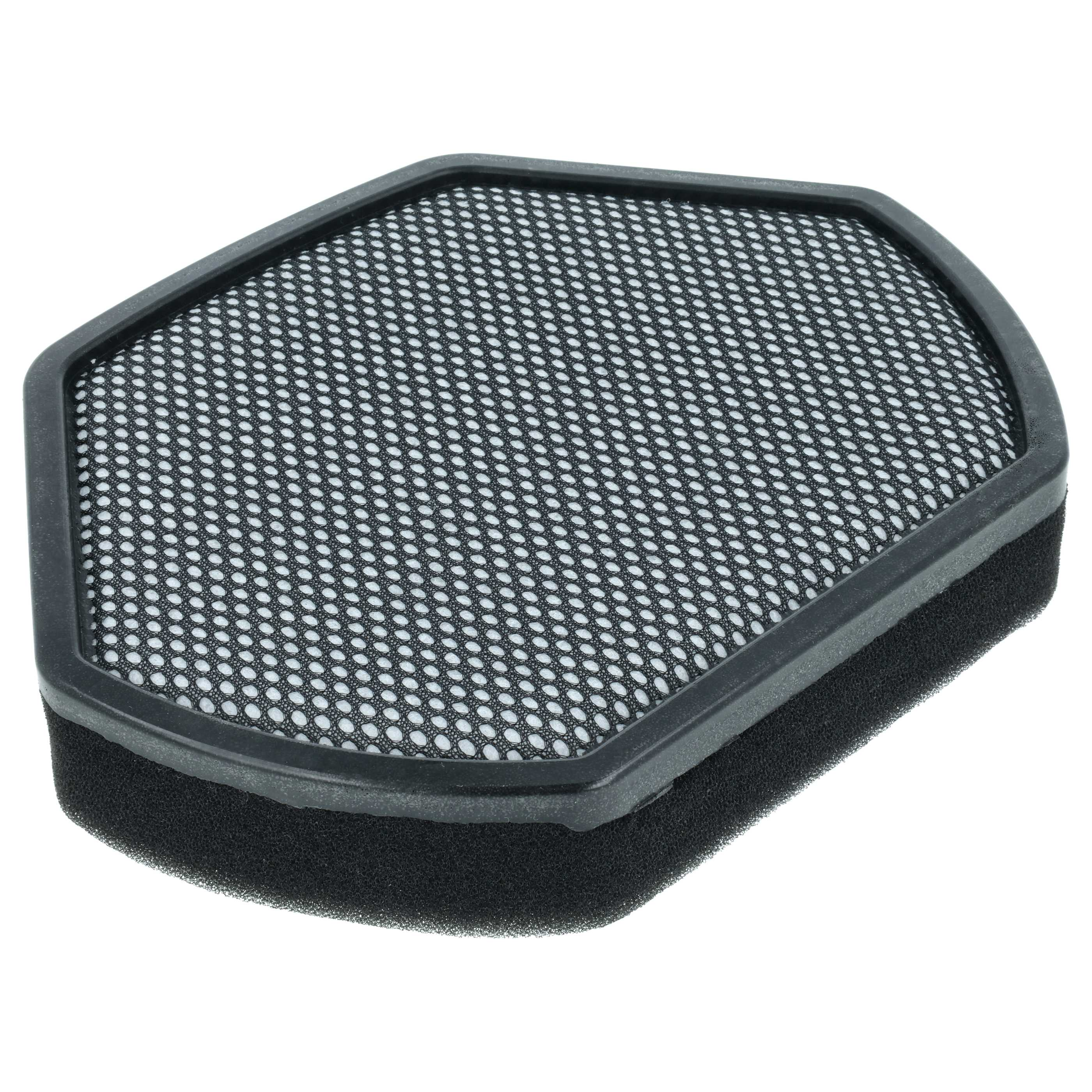 Ein hexagonaler schwarzer Filter mit feinem Netz auf weißem Hintergrund.