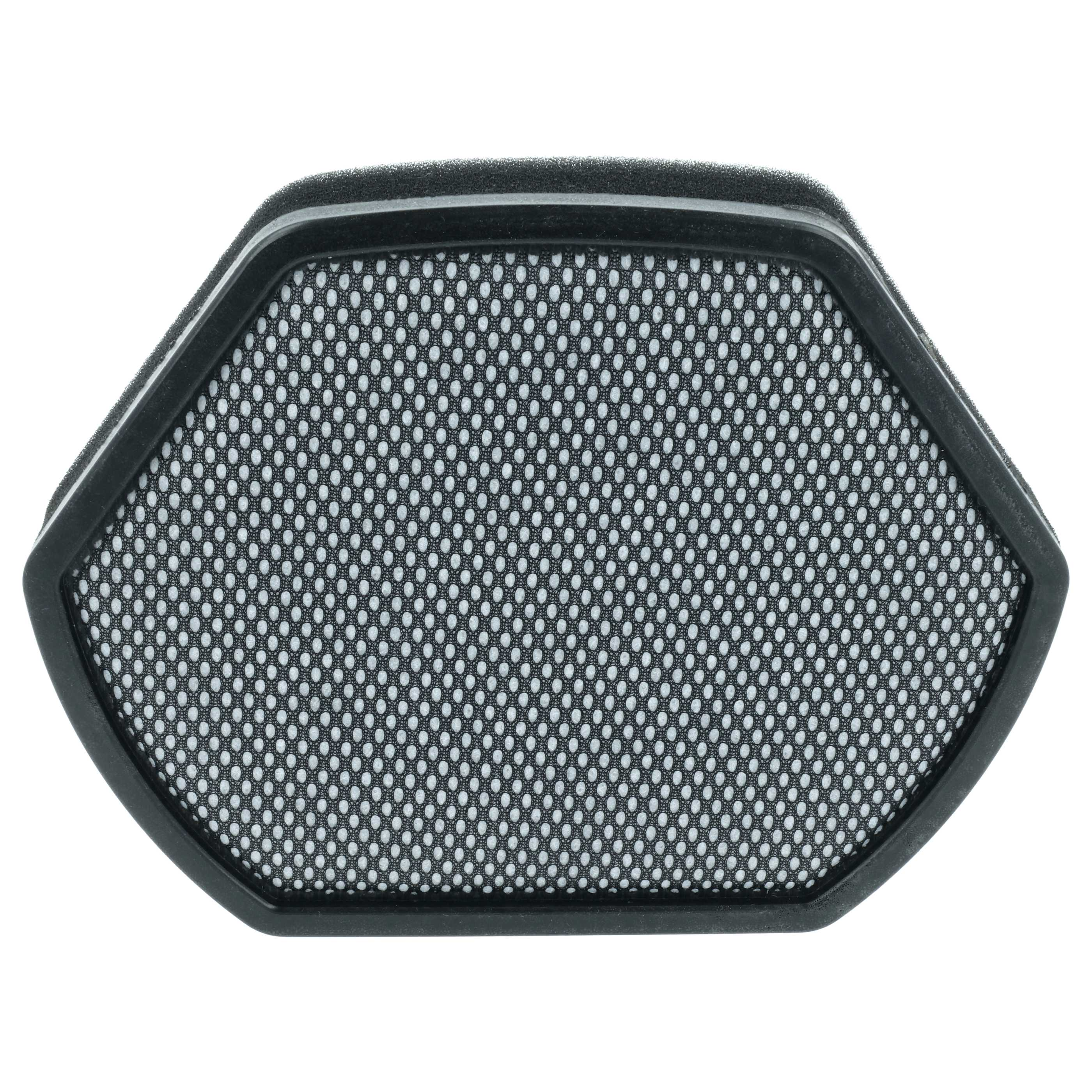 Hexagonaler schwarzer Filter mit feinem Gitter auf weißem Hintergrund.