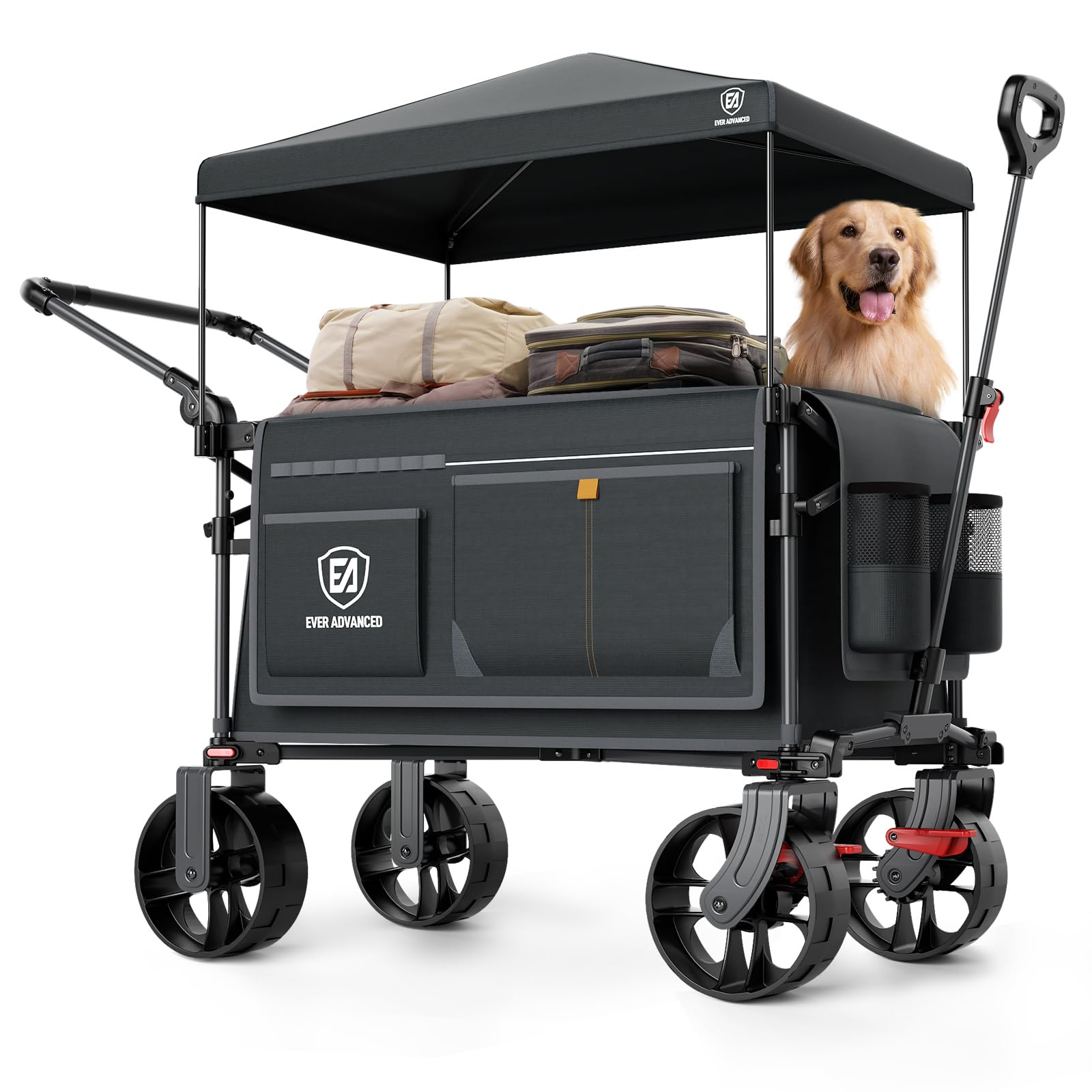 Un chariot utilitaire pliable noir avec auvent transporte des bagages et un chien golden retriever.
