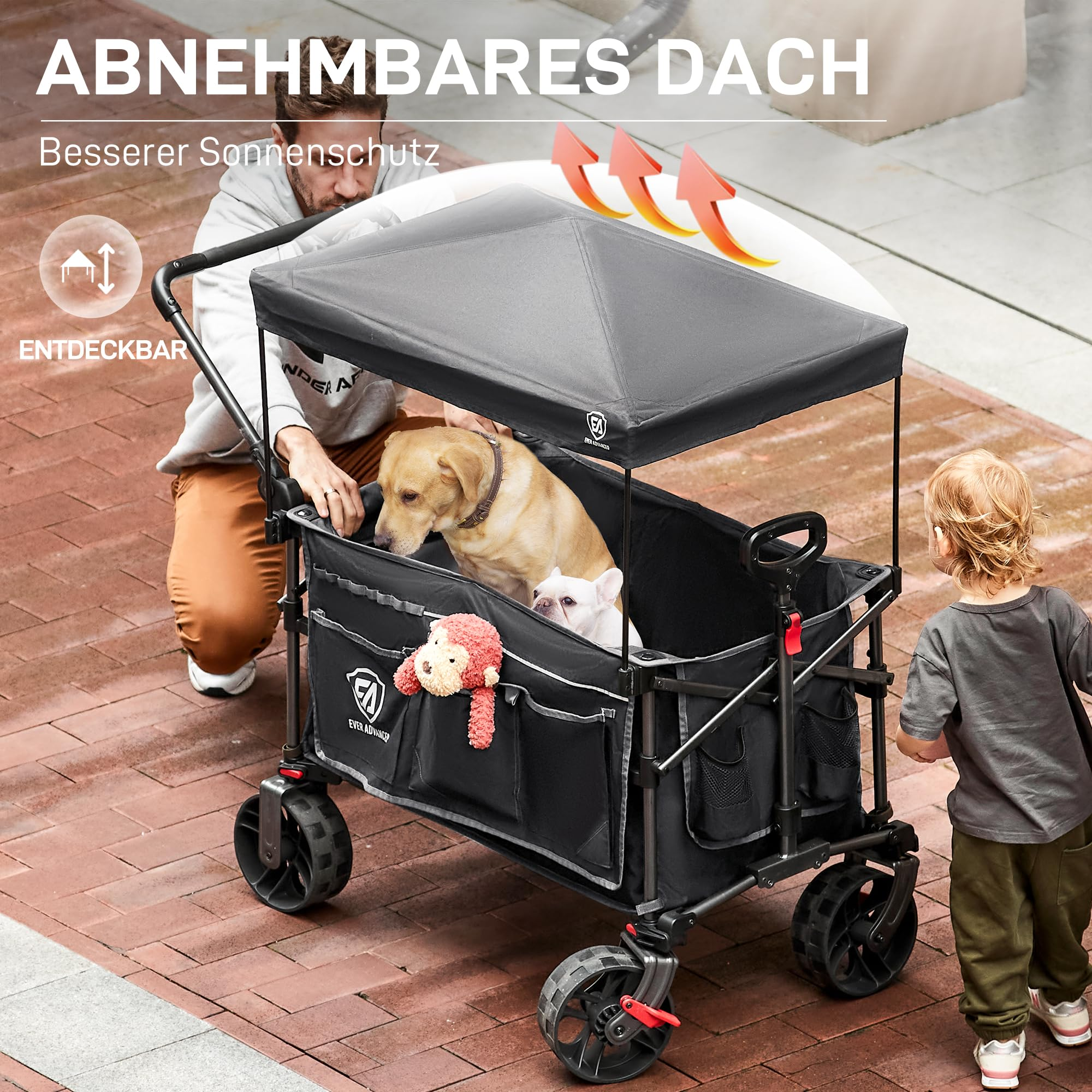 Un homme et un enfant avec un chariot transportant deux chiens, avec toit amovible et texte sur la protection solaire.