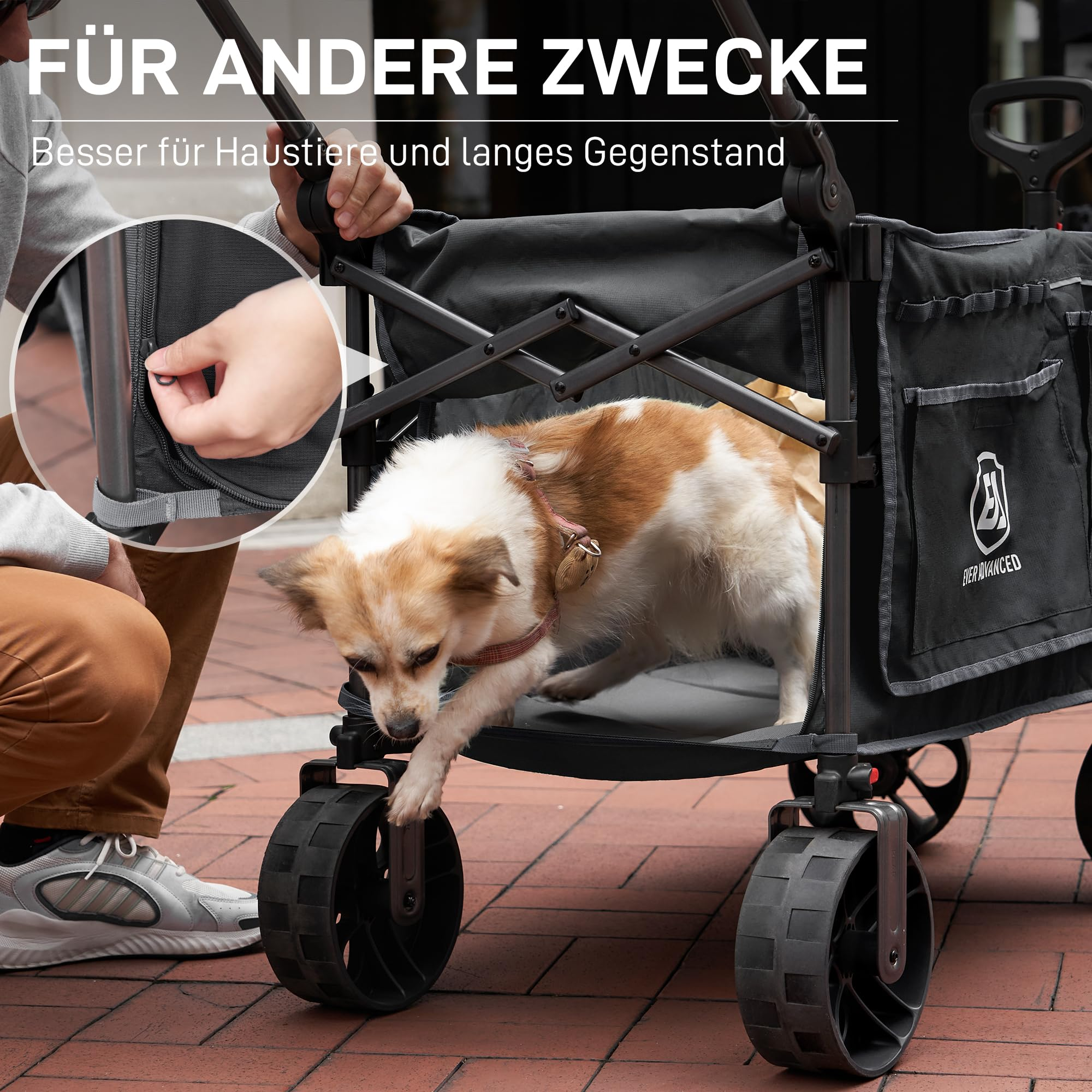 Un petit chien entre dans un chariot pliable noir pendant qu'une personne ferme la fermeture éclair.