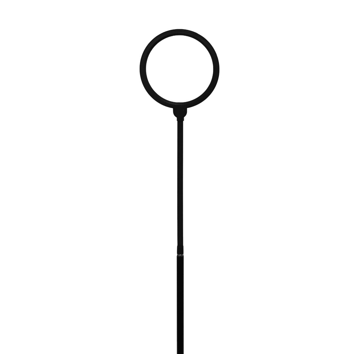 Eine schwarze Stehlampe mit rundem Kopf auf einem schlanken Stab vor weißem Hintergrund.