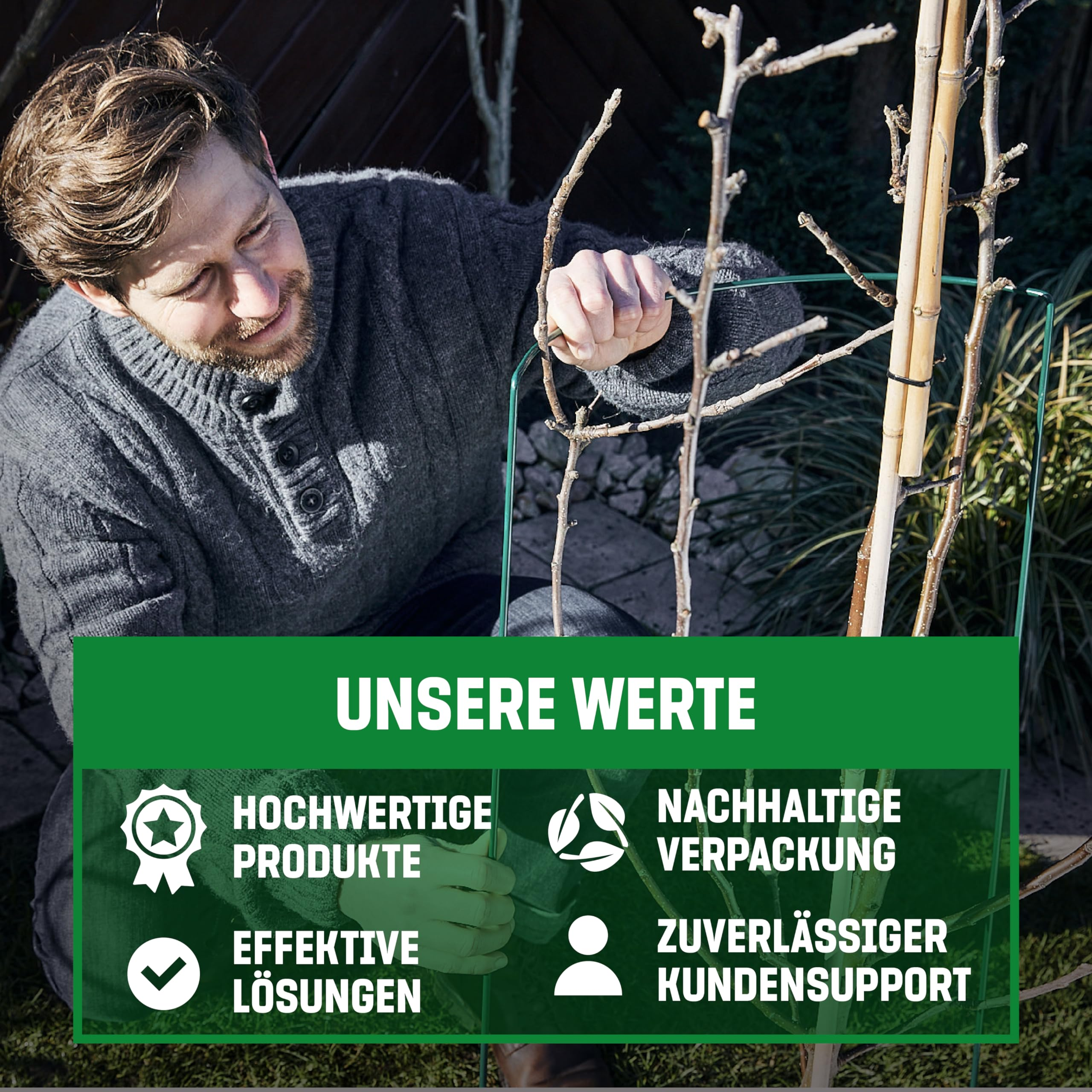 Ein Mann befestigt eine grüne Pflanzenstütze an einem jungen Baum im Garten.