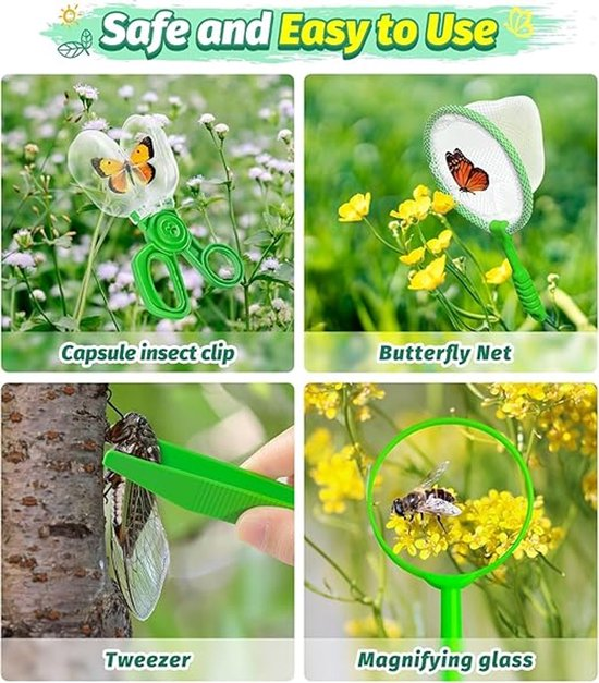 Vier Felder zeigen Insektenfangwerkzeuge für Kinder: eine Kapselzange, ein Netz, eine Pinzette mit Insekt und eine Lupe.