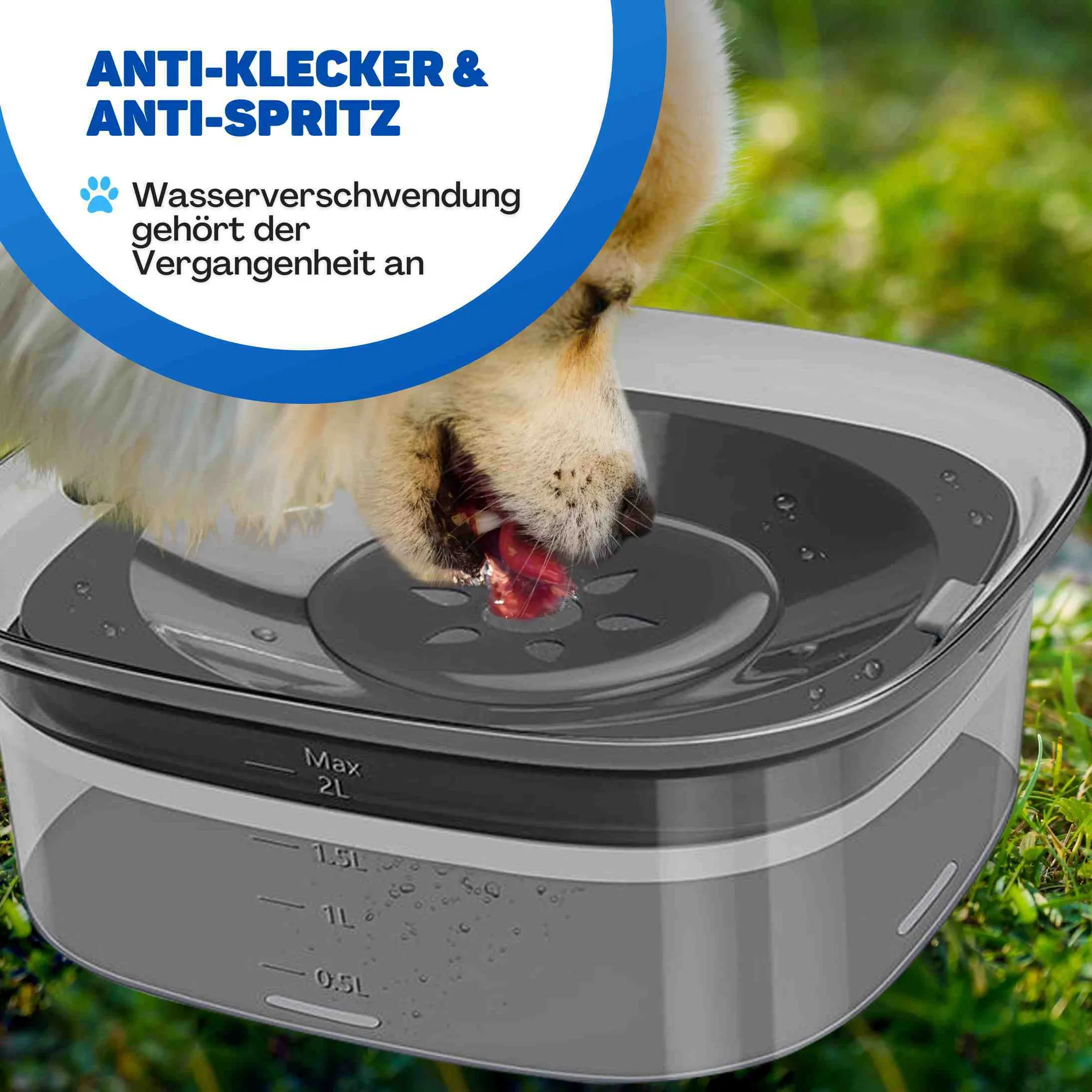Ein Hund trinkt aus einer grauen Anti-Spritz-Wasserschüssel auf dem Gras.