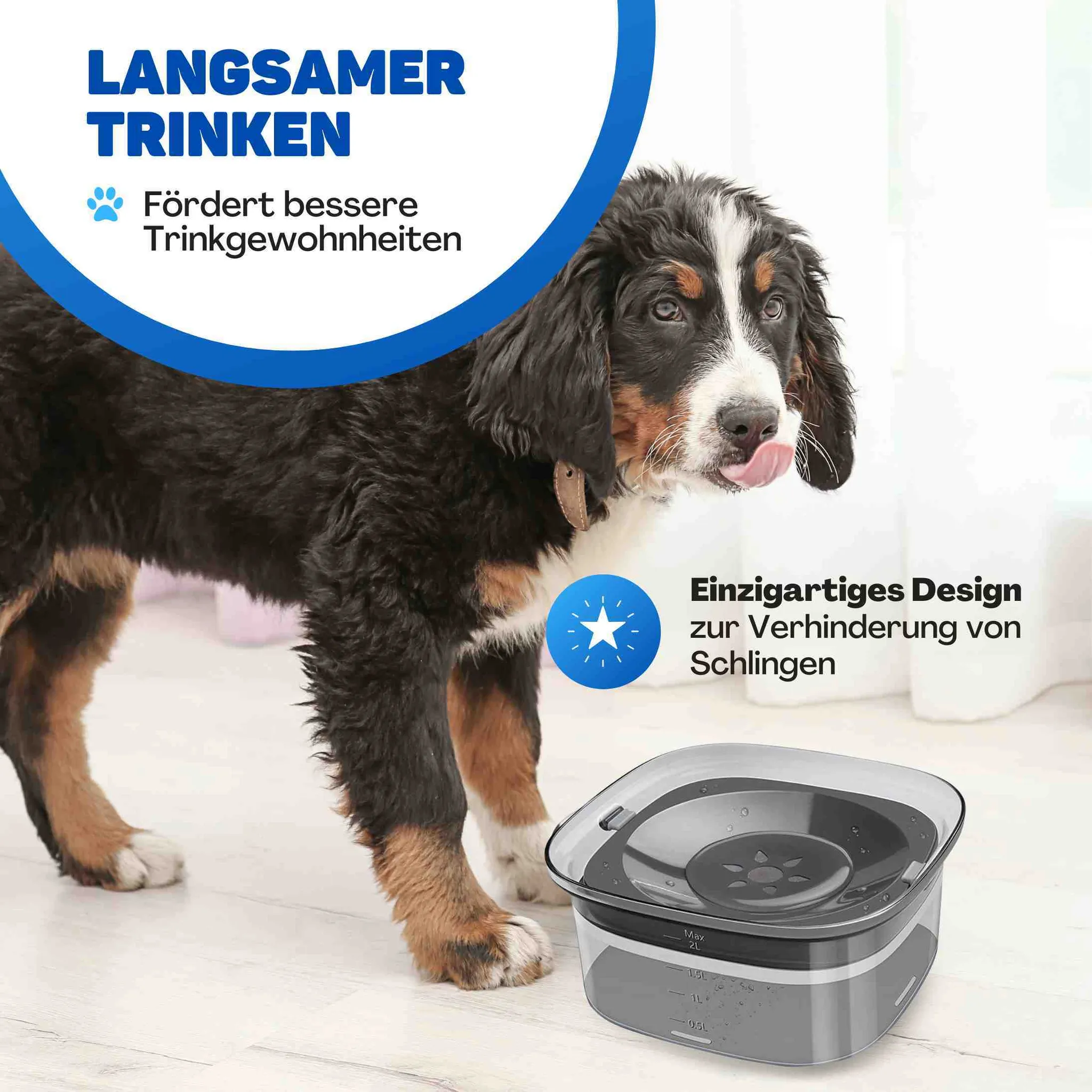 Ein Berner Sennenhundwelpe steht neben einem grauen Wassernapf mit integriertem Design gegen schnelles Trinken.