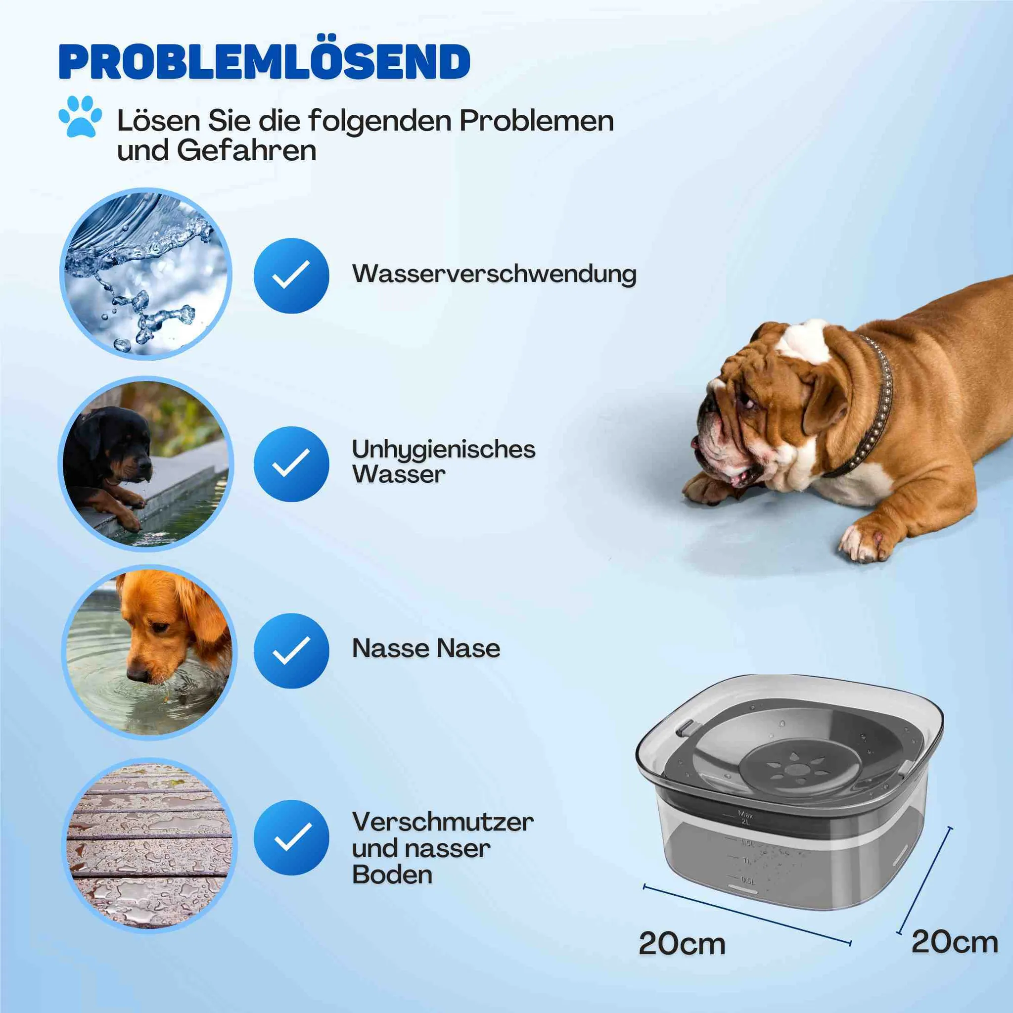 Informatives Bild zeigt, wie ein Haustierbrunnen typische Wasserprobleme für Hunde löst.