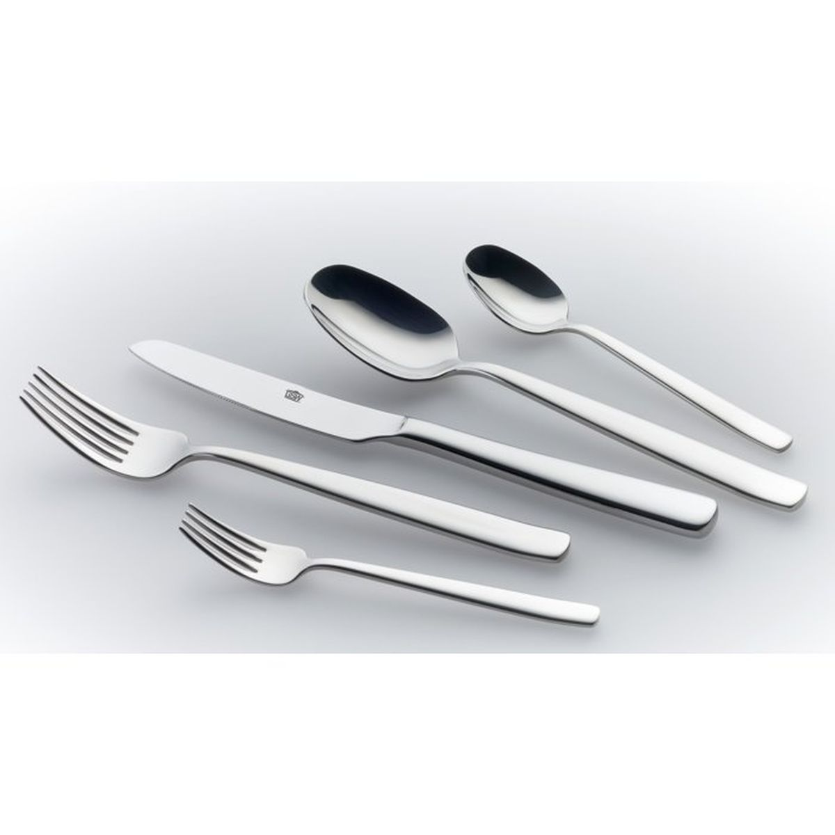 Ein Set aus fünf silbernen Besteckteilen aus Edelstahl, darunter zwei Gabeln, ein Messer und zwei Löffel auf weißem Hintergrund.