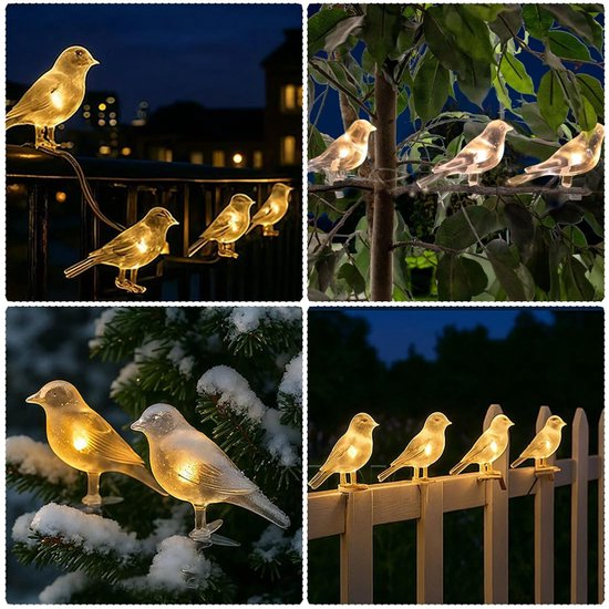 Beleuchtete Vogel-Fahrradlichter in verschiedenen Außenbereichen.