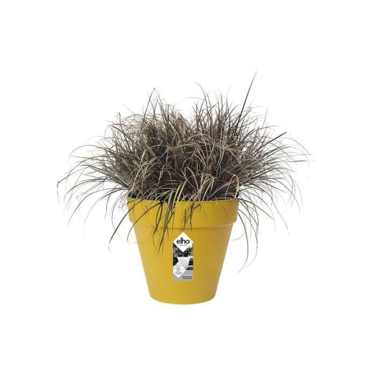 Eine braune Ziergras-Pflanze in einem senfgelben Elho-Blumentopf auf weißem Hintergrund.