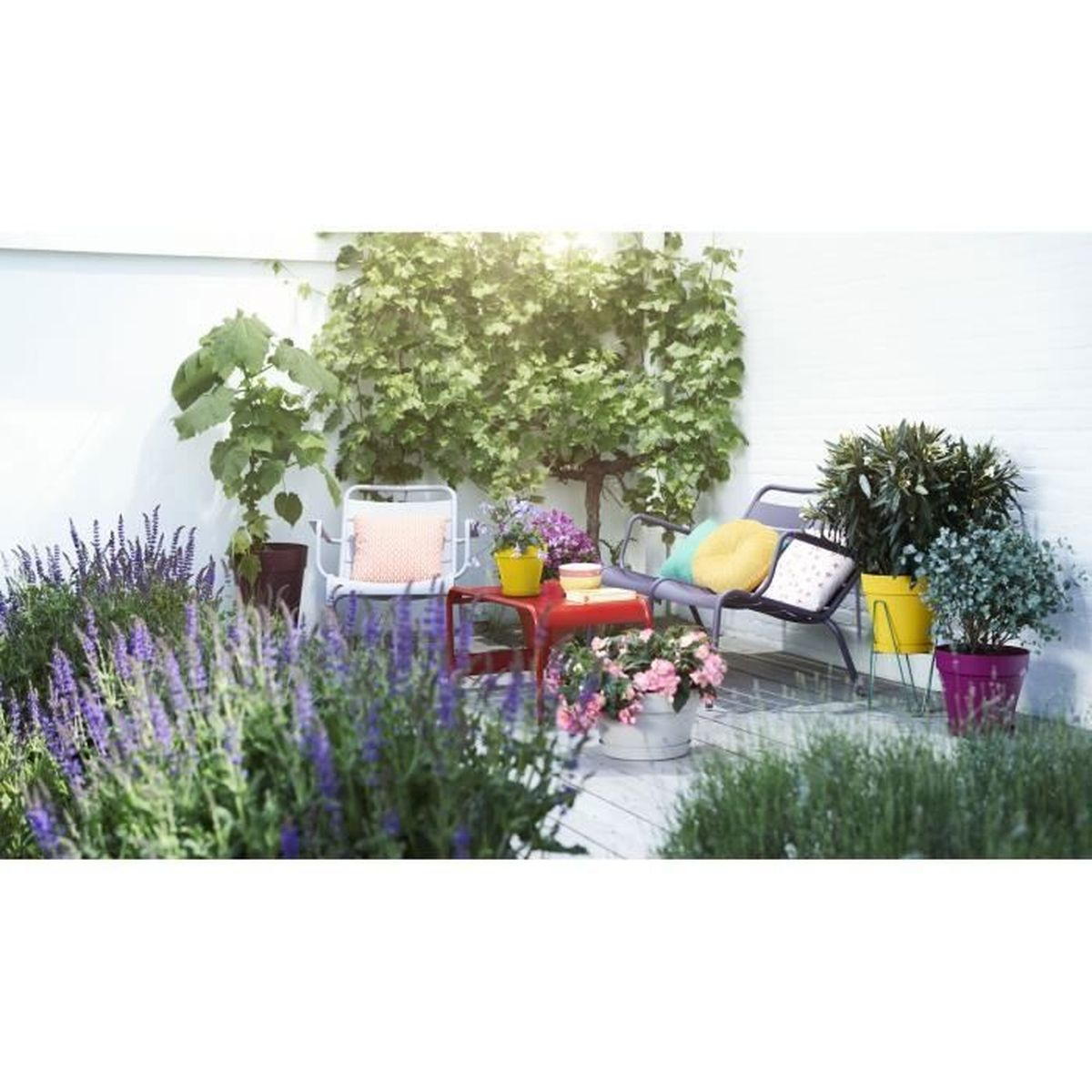 Sonnige Gartenterrasse mit Metallmöbeln, bunten Kissen und vielen Topfpflanzen vor weißer Wand.
