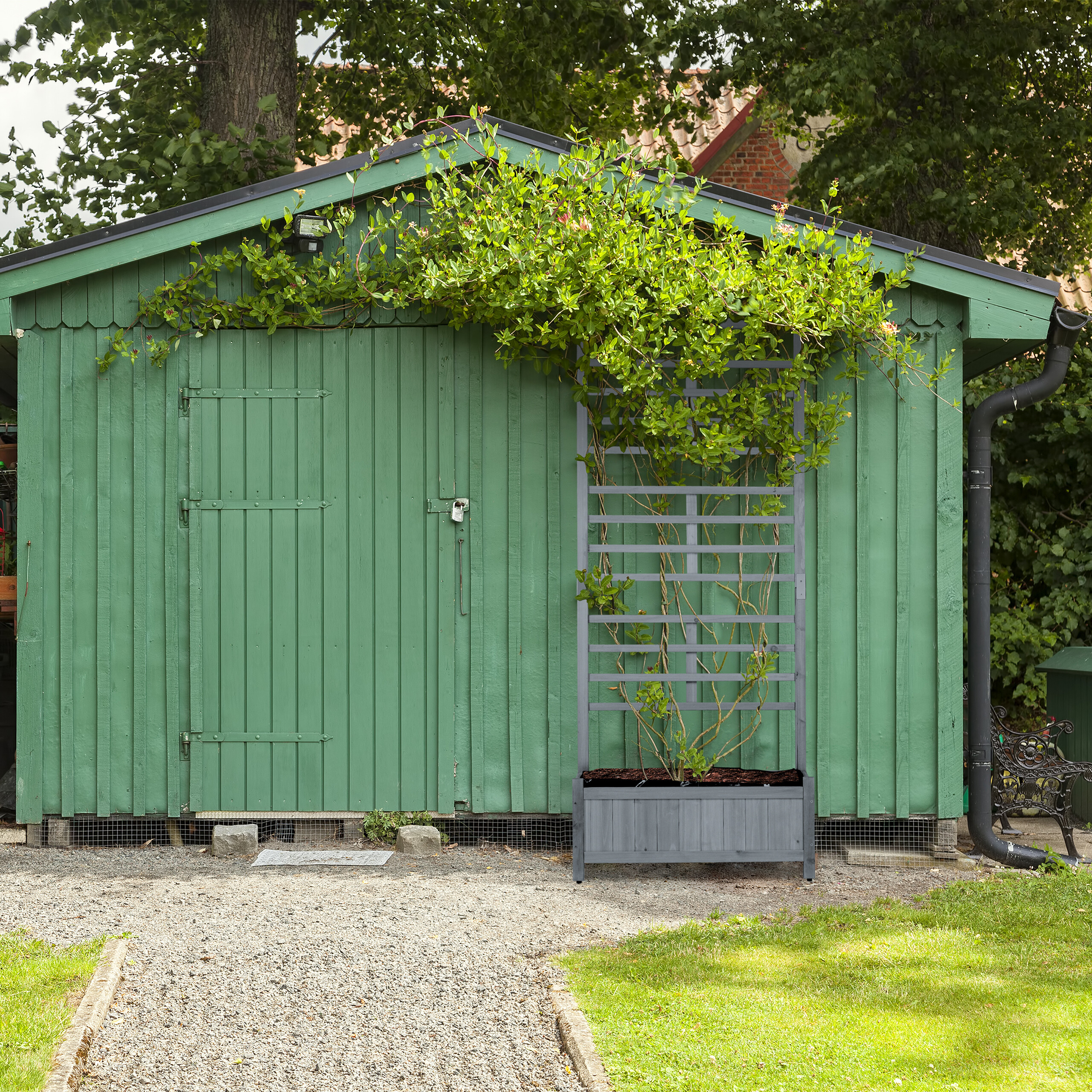 Ein graues Spalier mit üppig grünen Kletterpflanzen steht vor einer grünen Holzhütte im Garten.