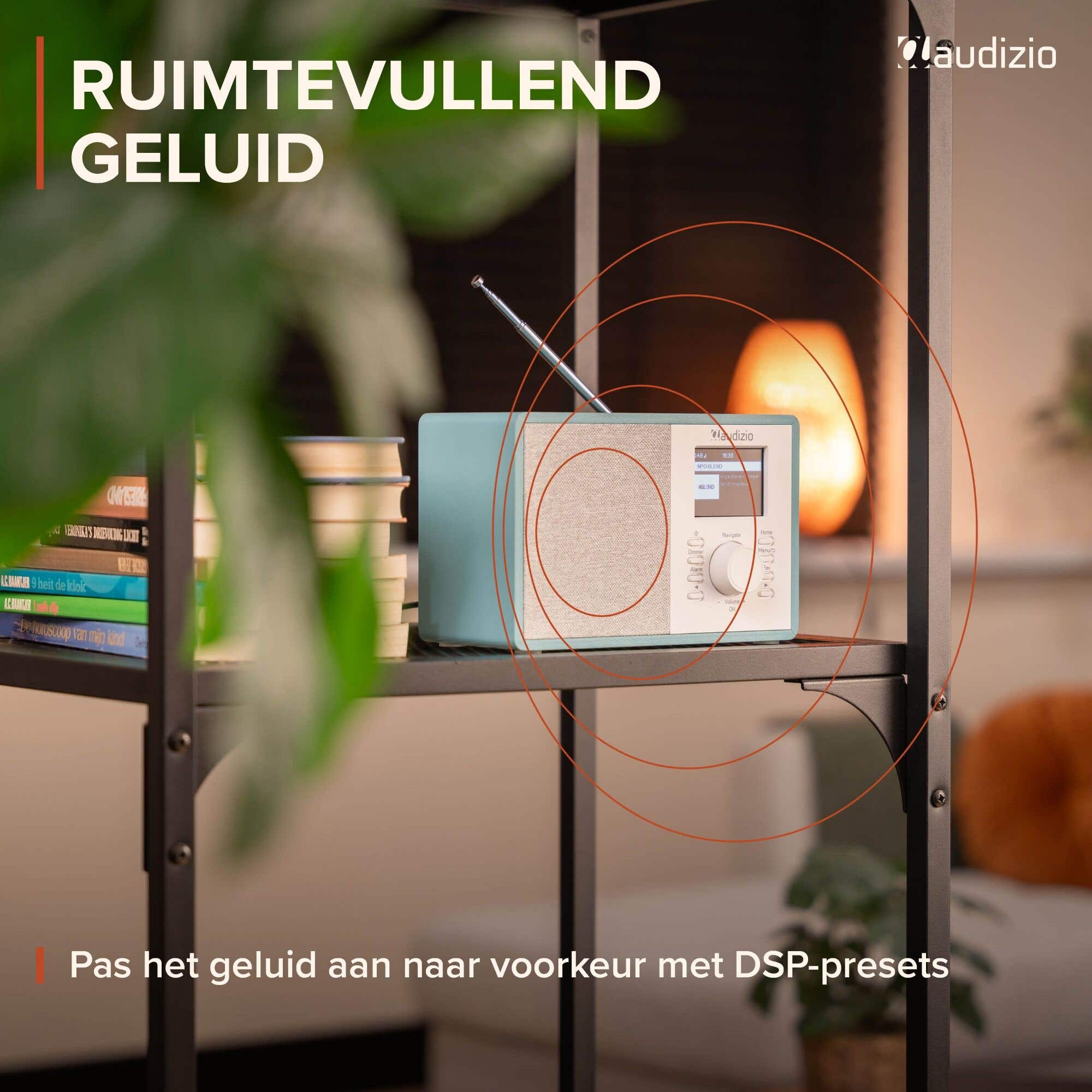 Ein hellblaues Audizio-Radio auf einem Regal mit Büchern und Wellenlinien, die den Ton anzeigen.