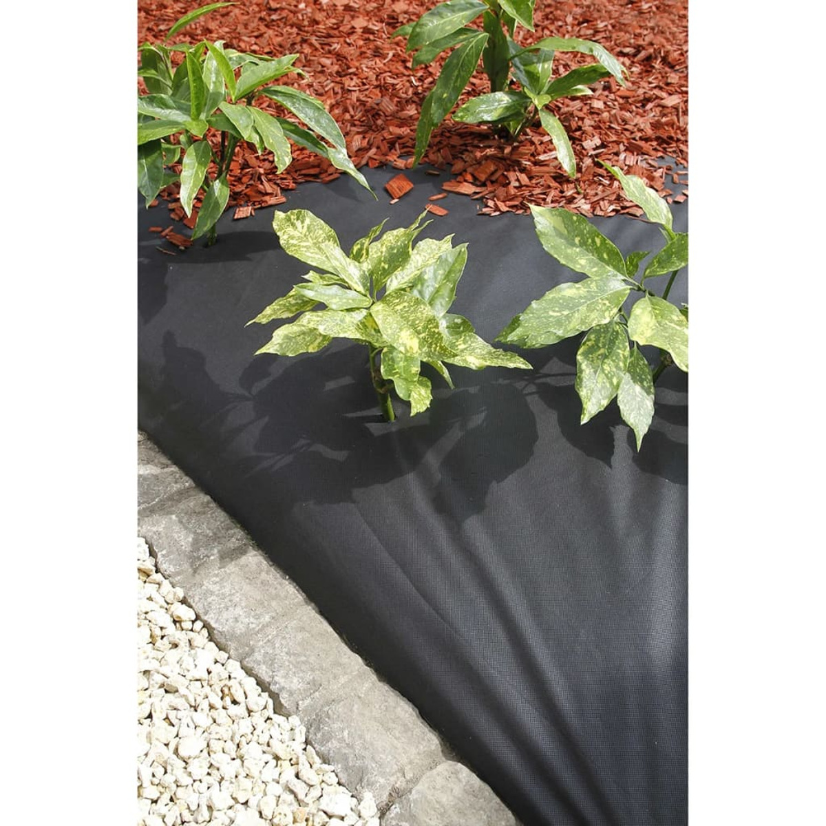 Grüne Pflanzen wachsen durch schwarzes Unkrautvlies im Garten.