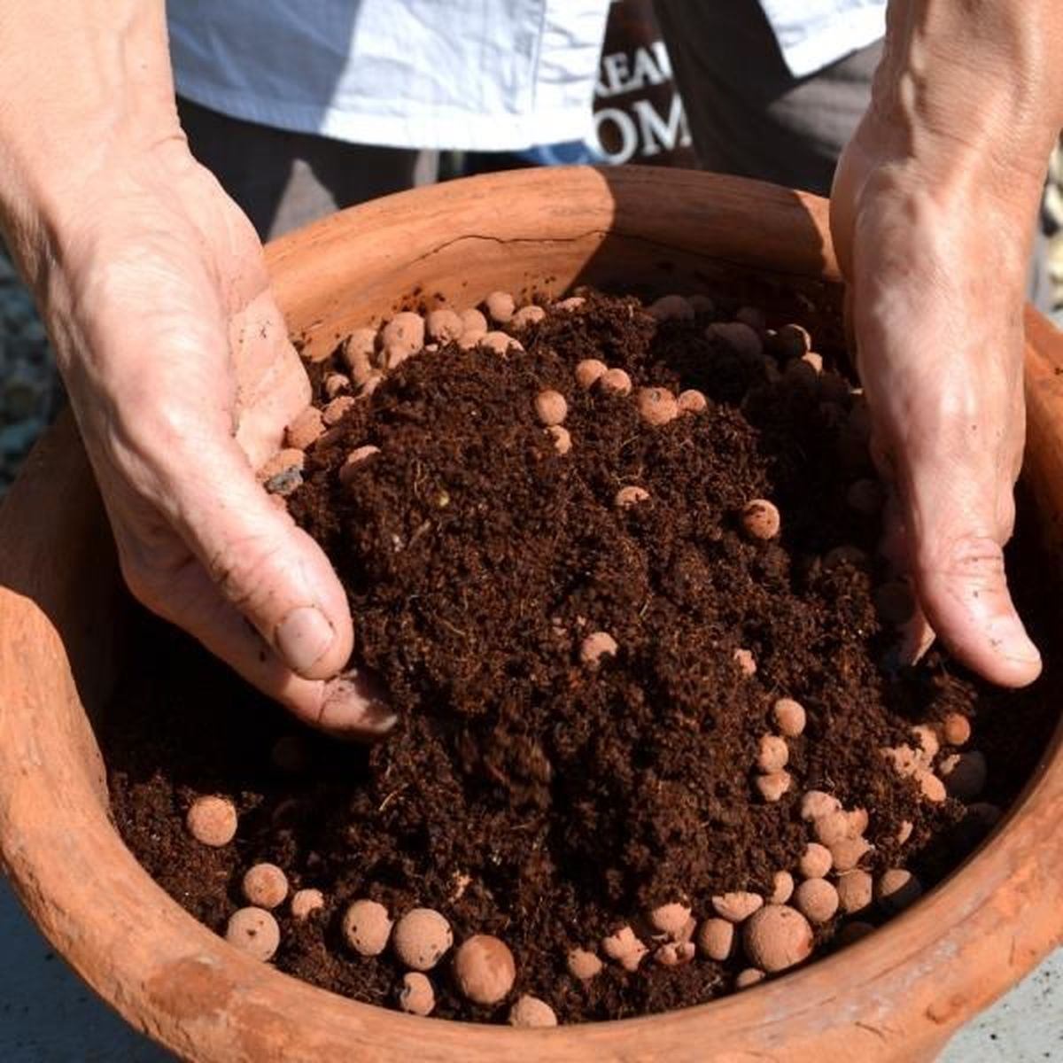 Hände halten dunkle Erde mit kleinen braunen Tonkugeln in einem großen Terrakottatopf.