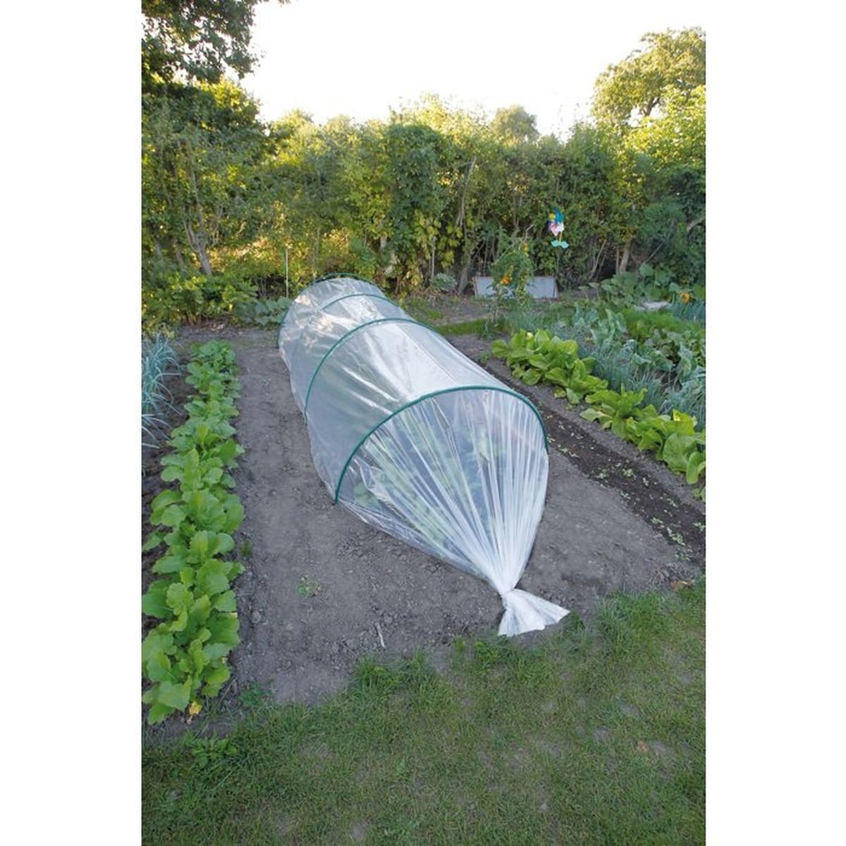 Ein langer, gebogener Plastik-Gemüsetunnel schützt grüne Pflanzen im Garten.