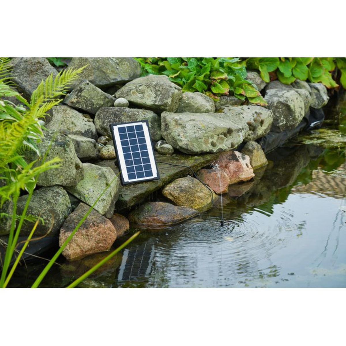 Kleines Solarpanel auf Steinen am Teichrand, verbunden mit einer kleinen Pumpe im Wasser.