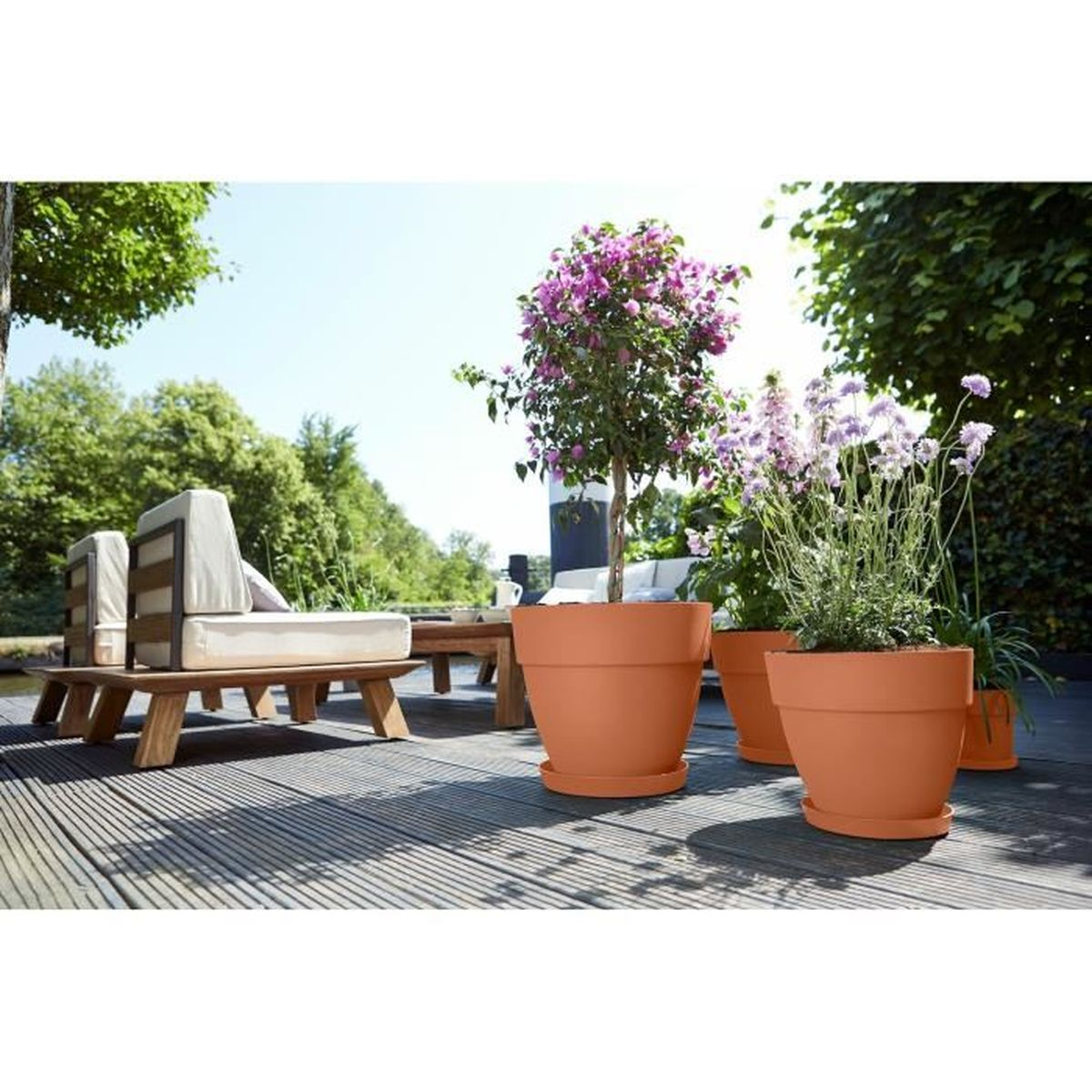 Terrakotta-Blumentöpfe mit Pflanzen stehen auf einer Holzterrasse neben Loungemöbeln.
