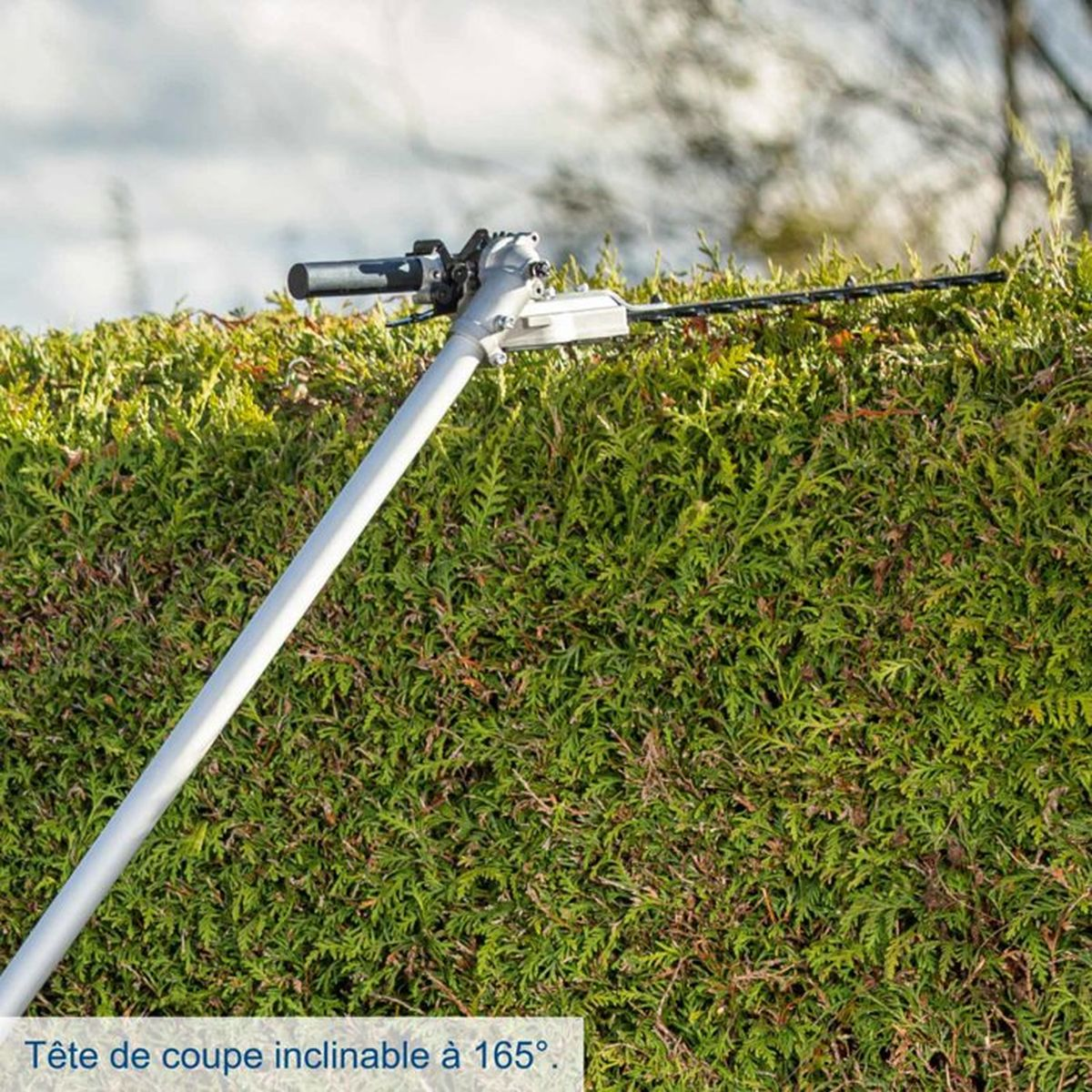 Eine lange Heckenschere schneidet eine grüne Hecke im Freien.