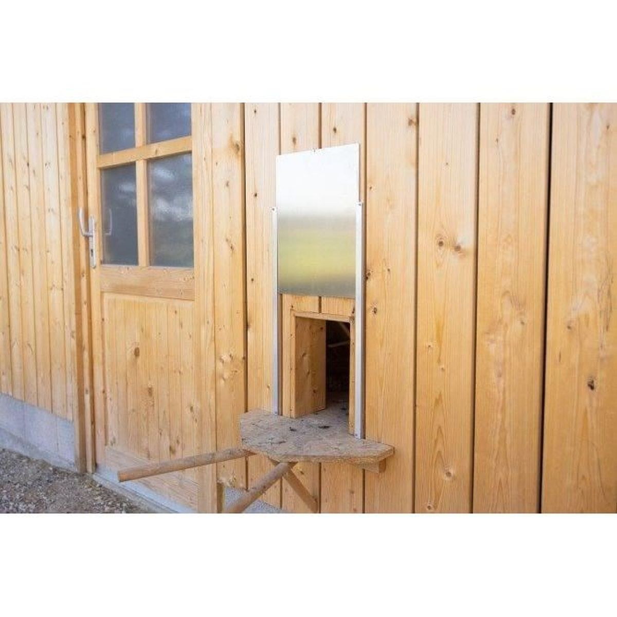 Eine Hühnerklappe aus Metall an einer hellen Holzfassade mit einer kleinen Plattform davor.