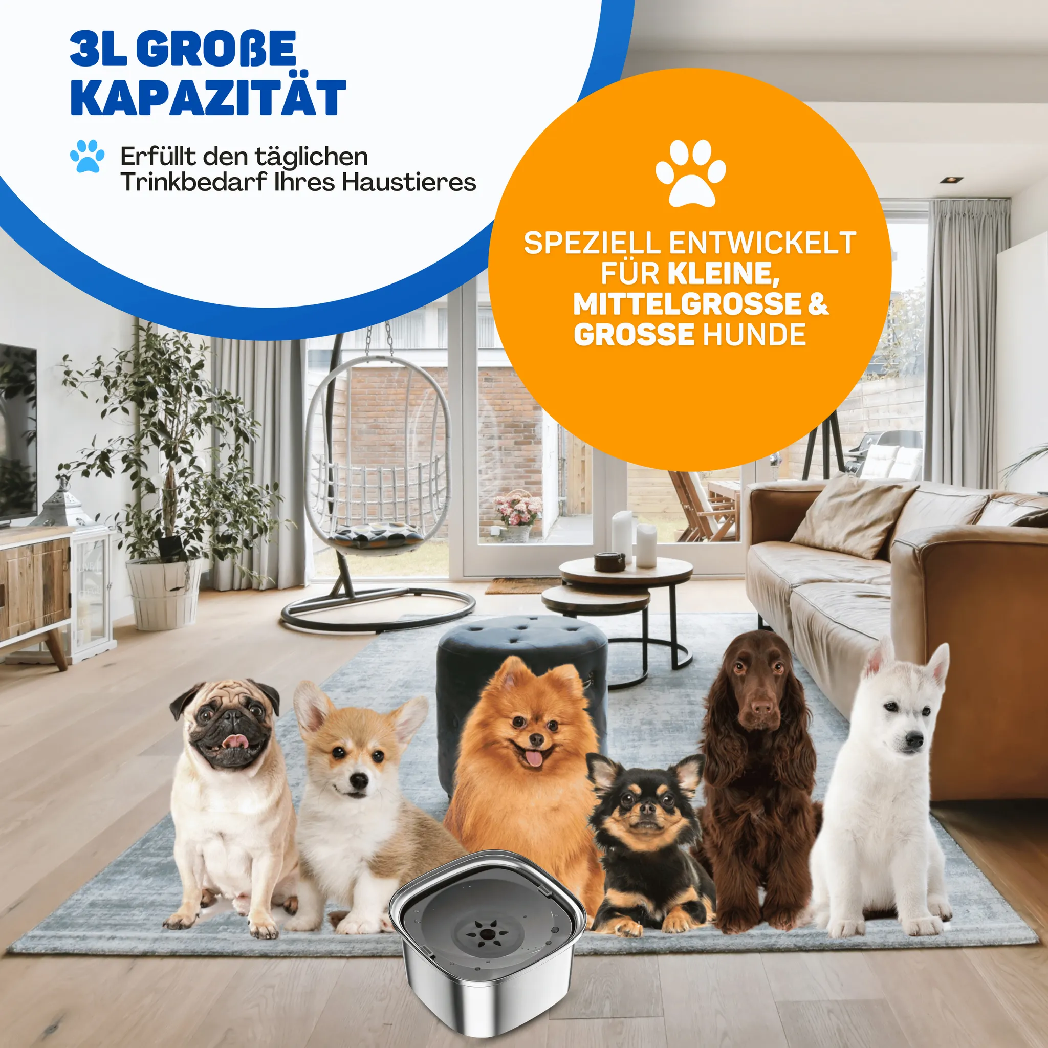 Sechs verschiedene Hunde sitzen auf einem Teppich in einem modernen Wohnzimmer vor einem großen Wassernapf.
