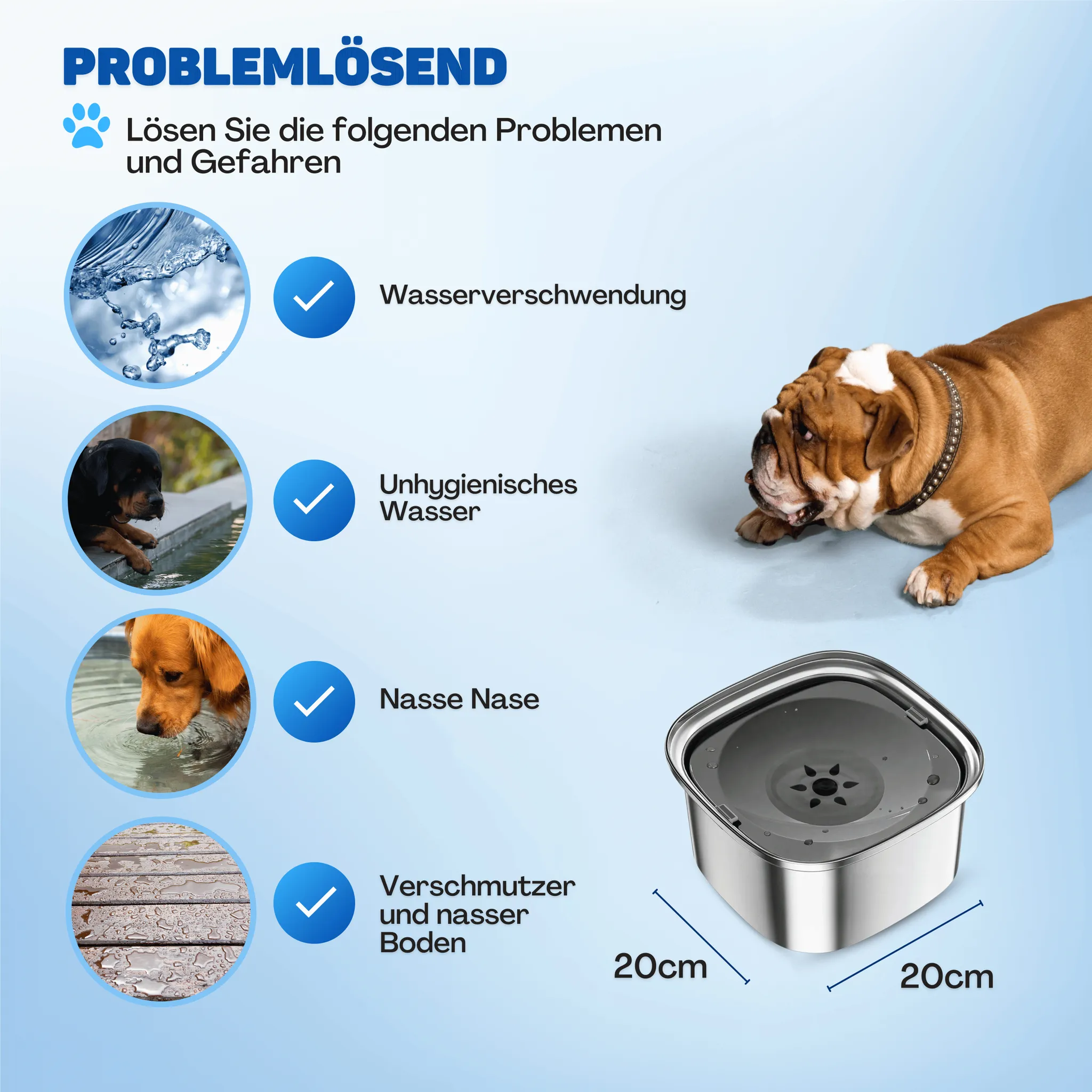 Infografik zeigt Probleme wie Wasserverschwendung und unhygienisches Wasser neben einem Hund und einem Napf.