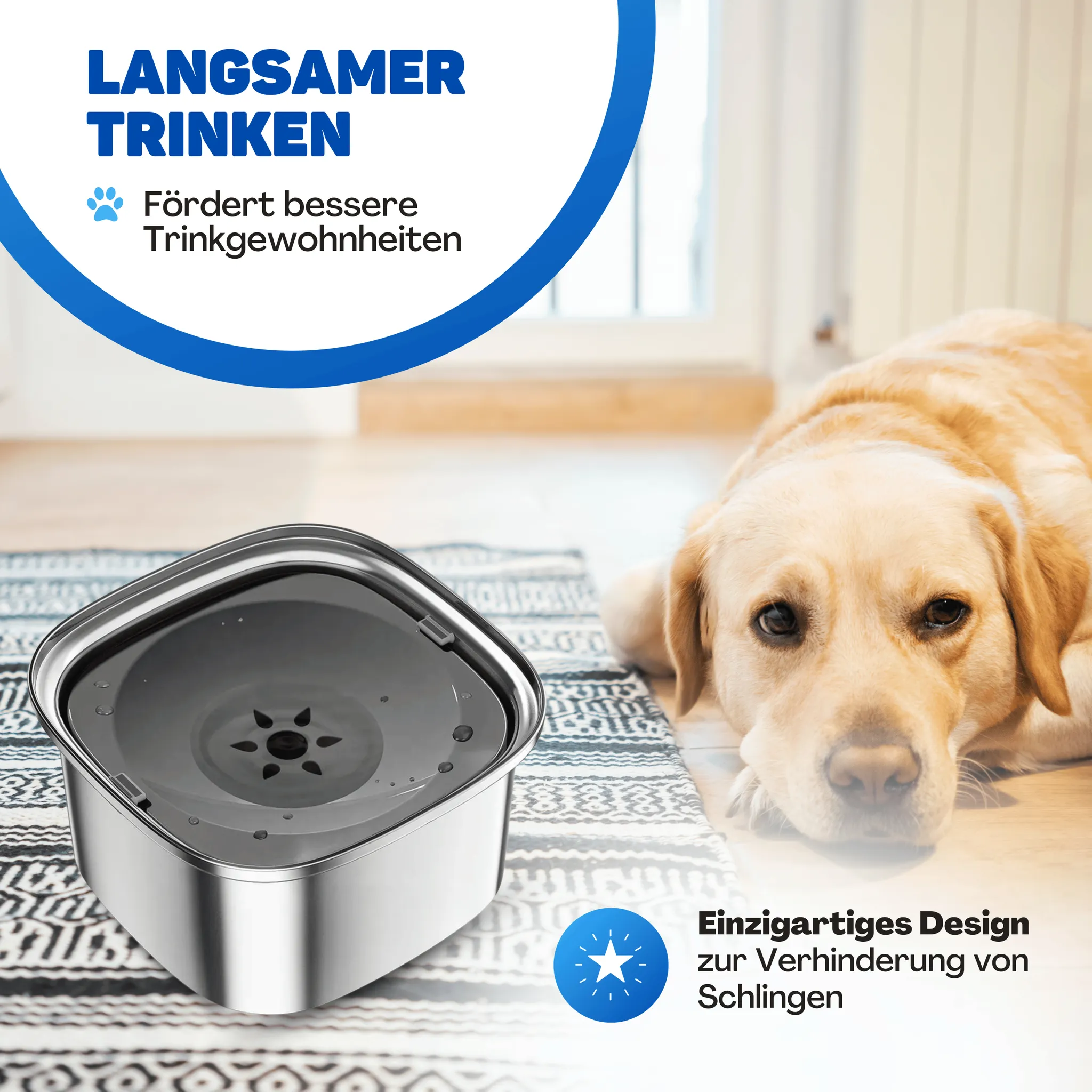 Ein Golden Retriever liegt neben einem silbernen Anti-Schling-Napf mit deutschem Werbetext.
