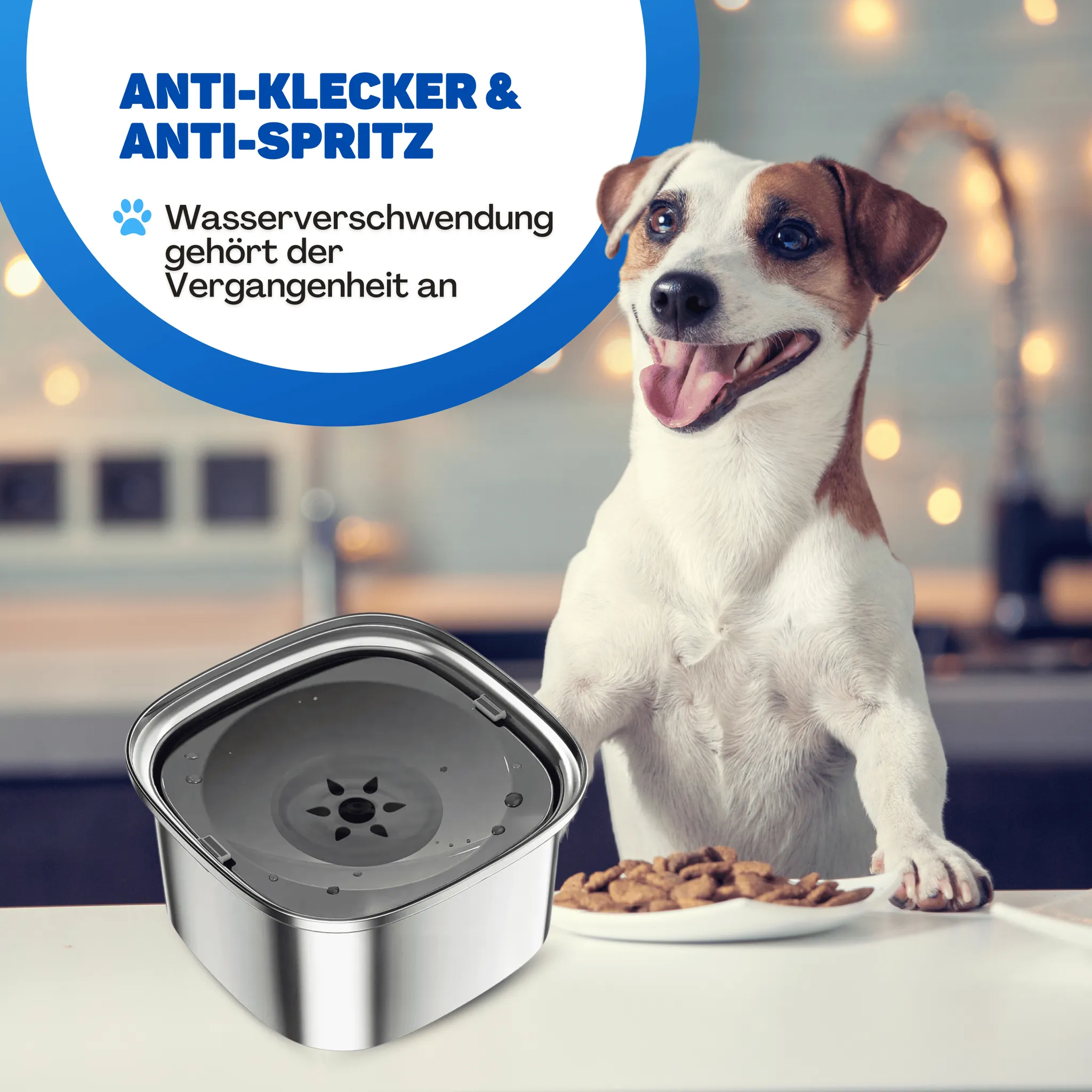 Jack Russell Terrier lächelt neben Anti-Spitz-Näpfchen und Trockenfutter.