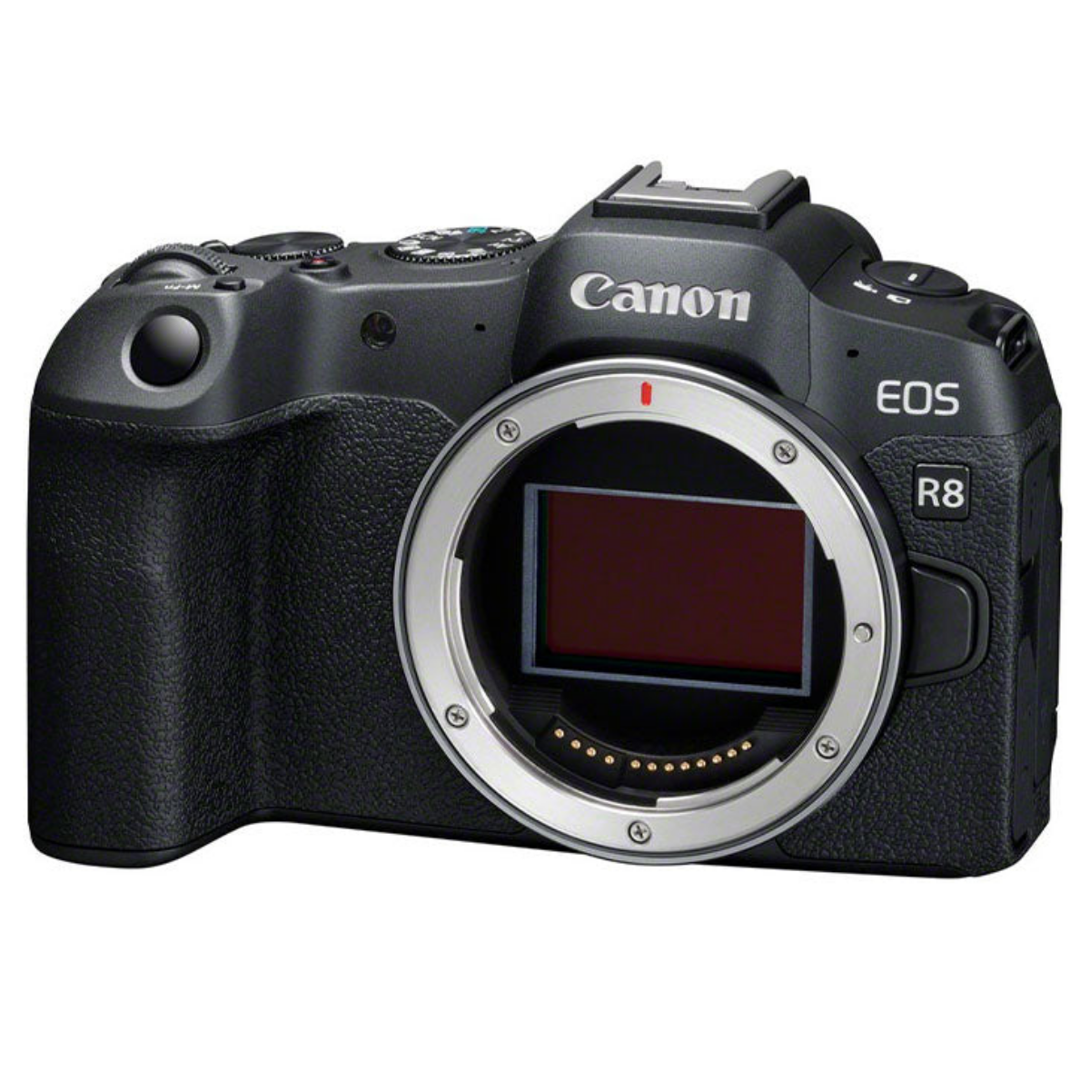 Un cuerpo de cámara sin espejo Canon EOS R8 negro sobre un fondo blanco.
