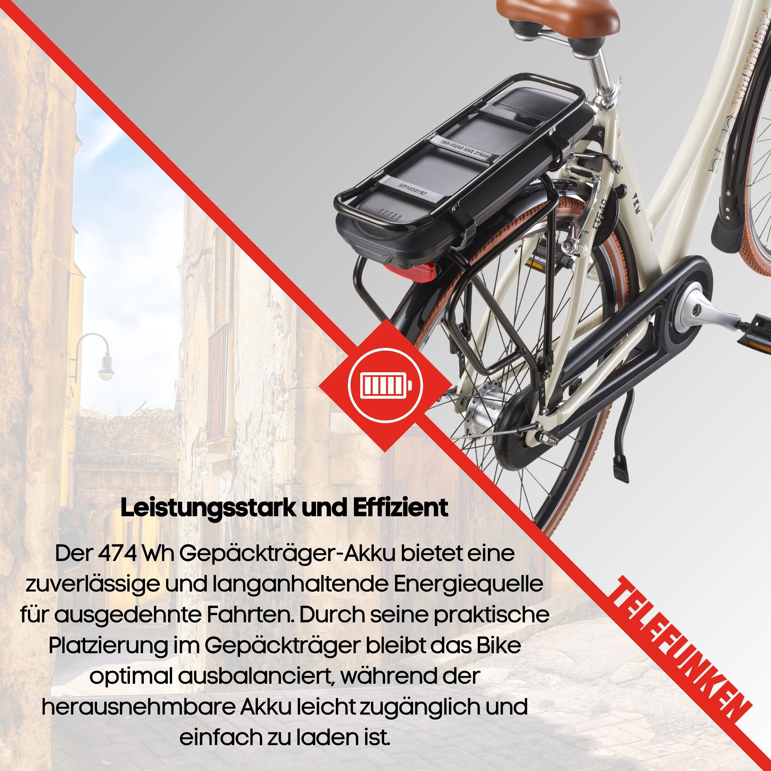 E-Bike mit Gepäckträger-Akku und Text.