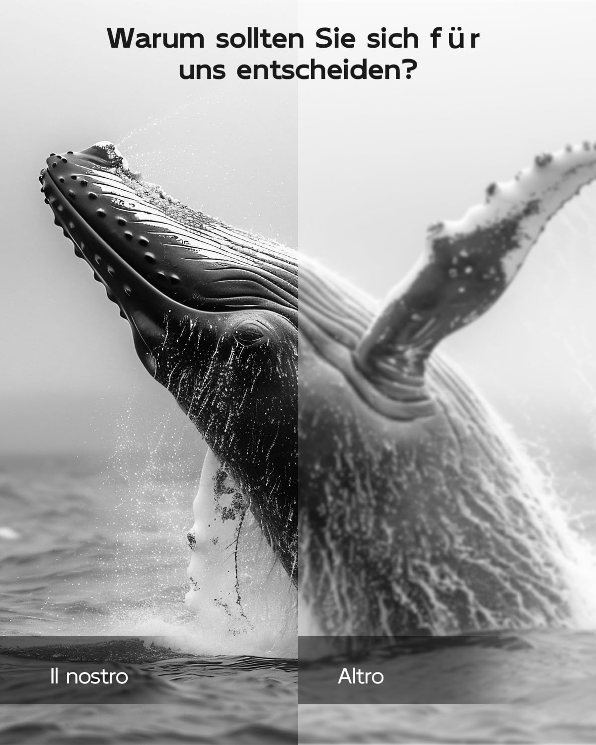 Vergleichsbild eines Wals im Wasser mit kontrastierenden Bildhälften und Texten.