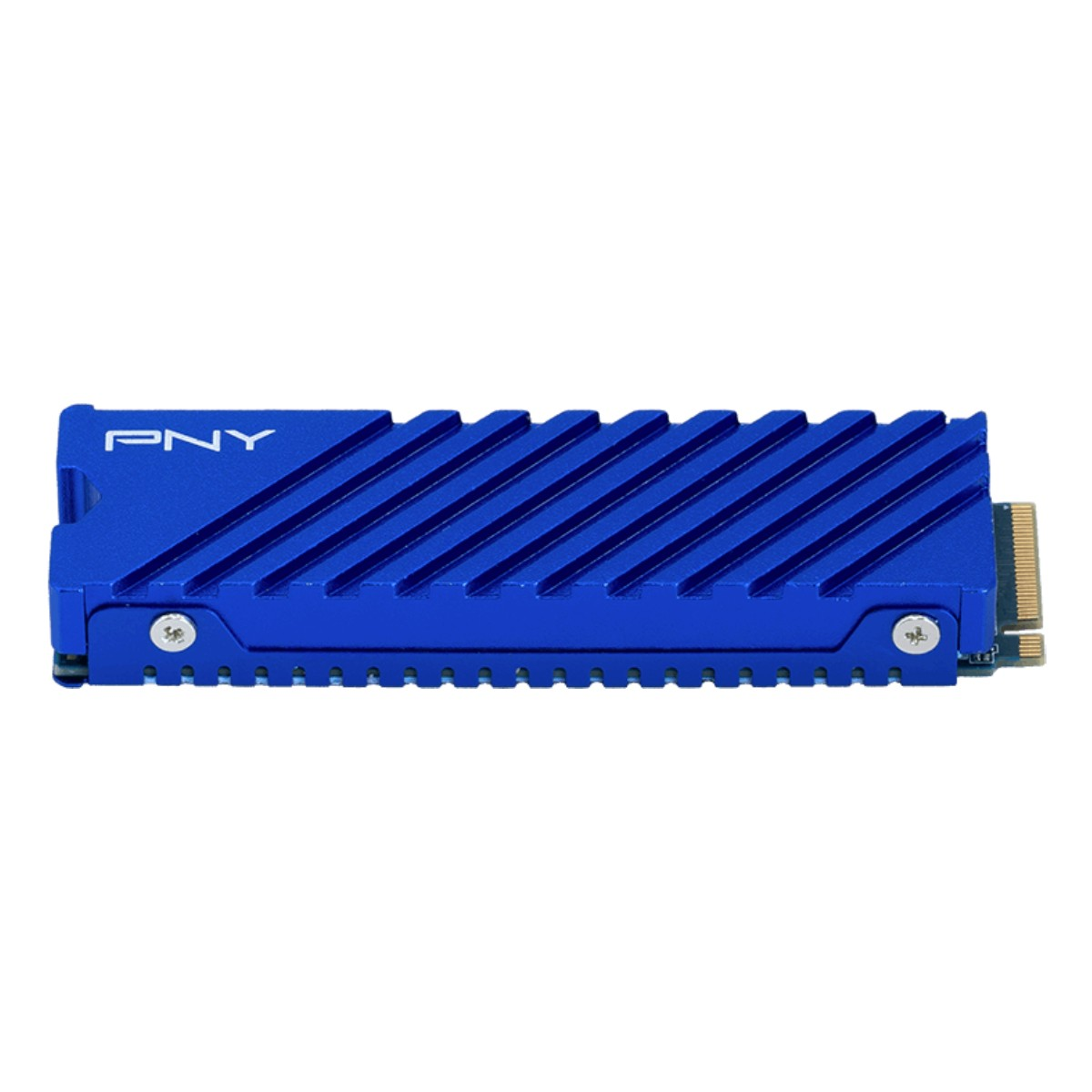 Ein blauer PNY M.2 NVMe SSD-Kühlkörper mit diagonalen Rippen und zwei Schrauben auf weißem Hintergrund.
