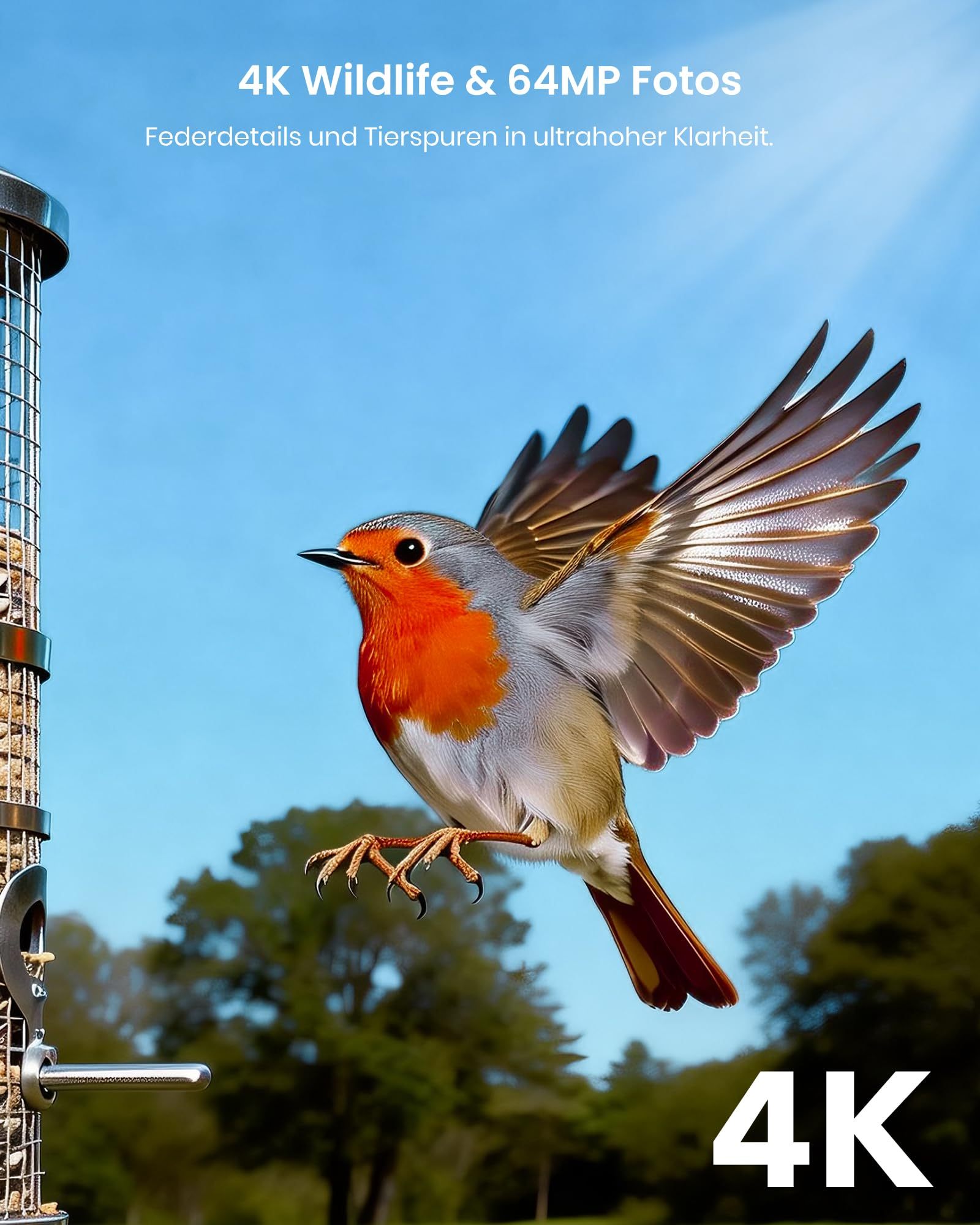 Ein Rotkehlchen fliegt nahe an einem Vogelfutterhäuschen vor blauem Himmel.
